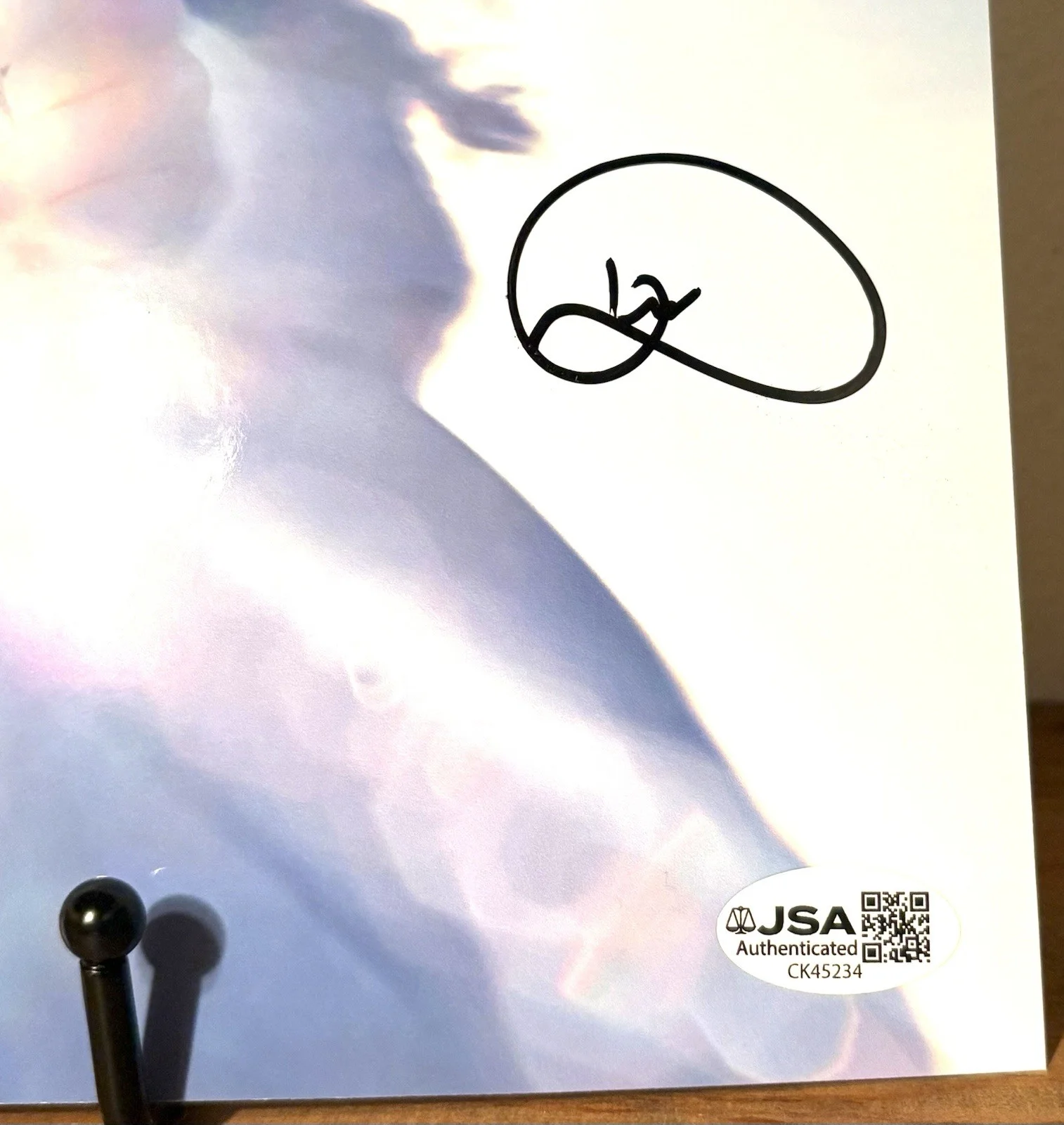 GEESE Getting Killed SIGNED 12x12 Photo JSA COA Dominic DiGesu, image 2