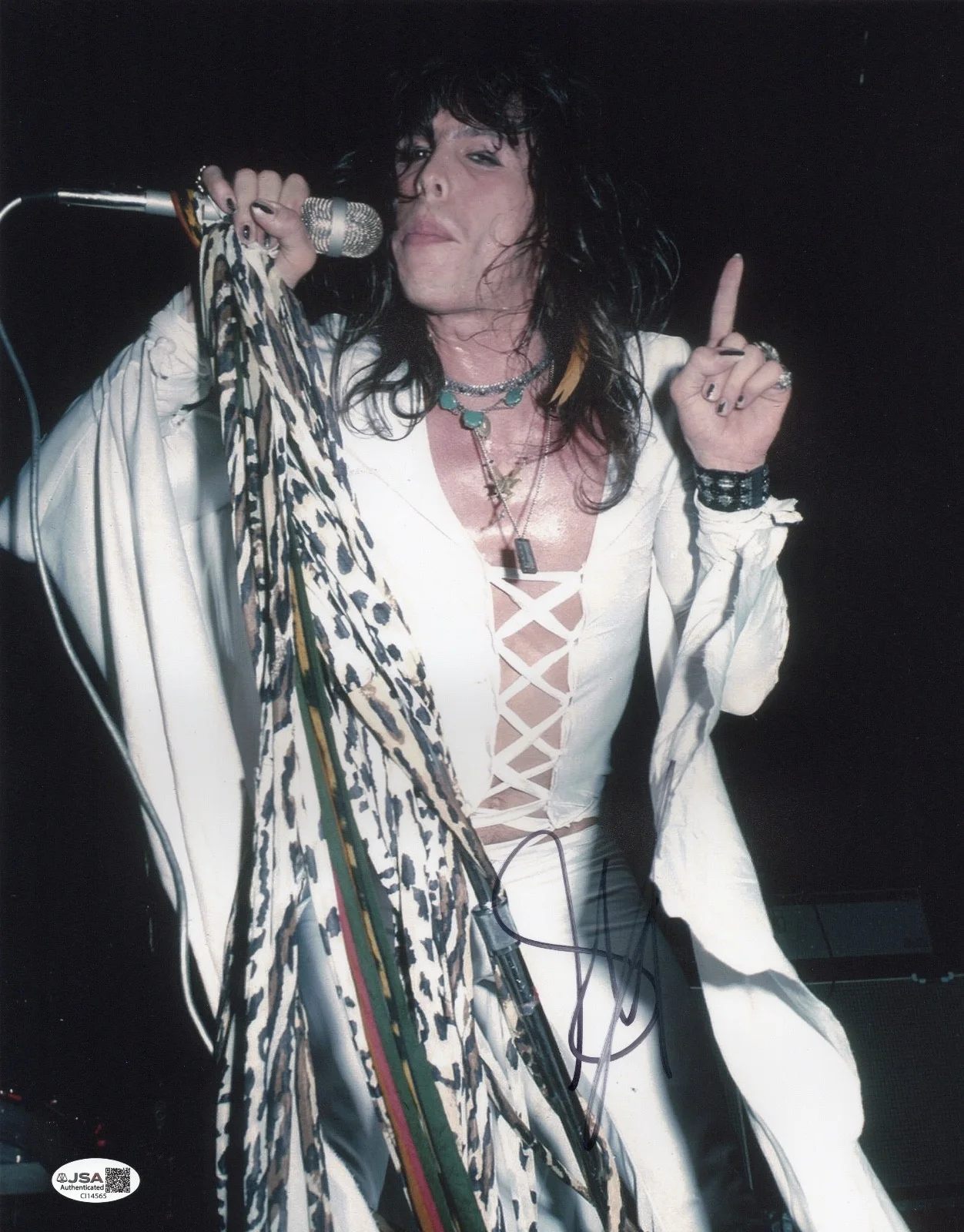 Steven Tyler Aerosmith Signed 11x14 Photo (The Forum Inglewood, CA 6/19/75) JSA, изображение 2