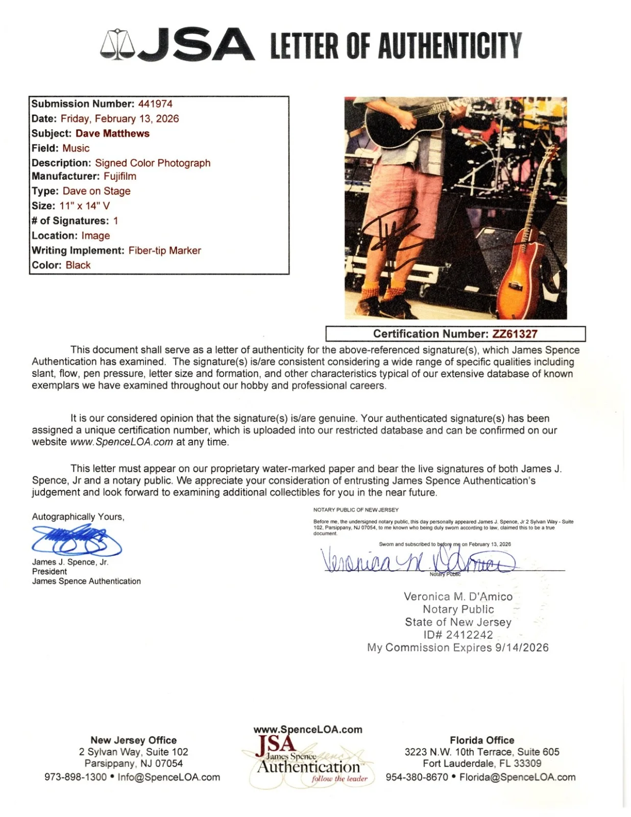 Dave Matthews Signed 11x14 Photo (HORDE Festival '96 - Mountain View, CA) JSA, изображение 2