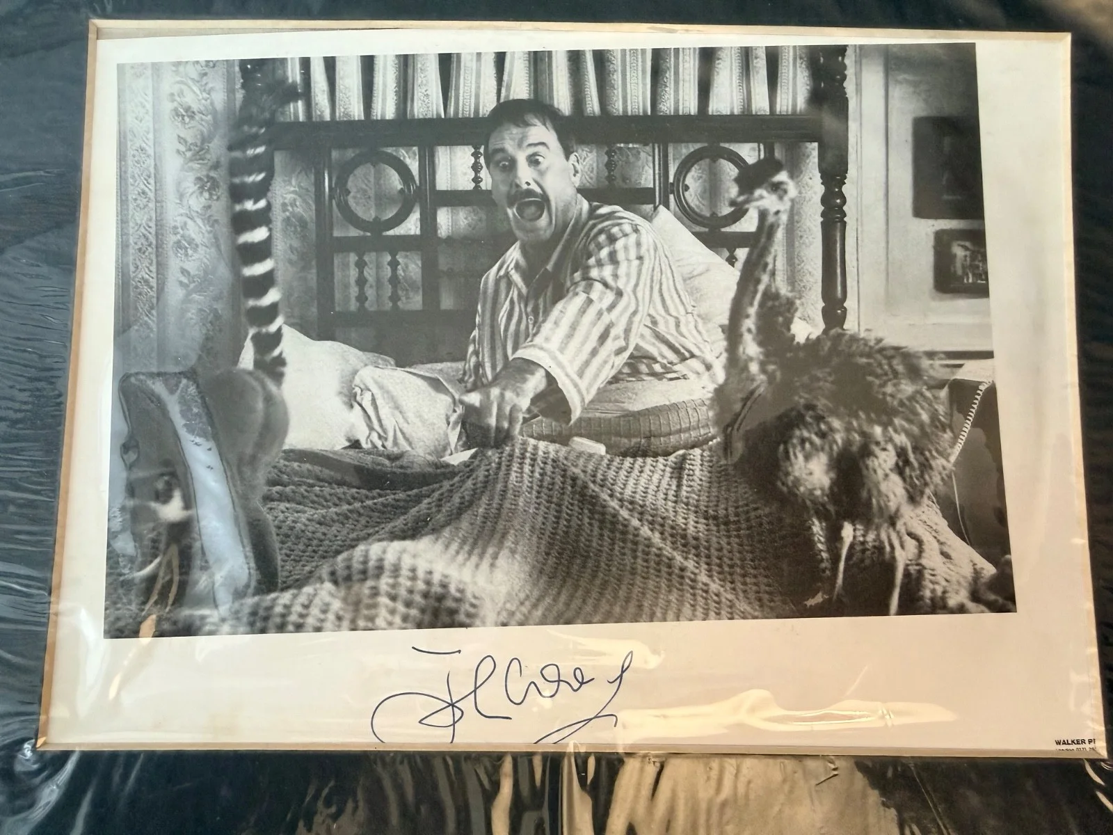 Eric Idle / John Cleese — MONTY PYTHON Two Autograph Lot - Eric Idle $ John Cleese, image 2
