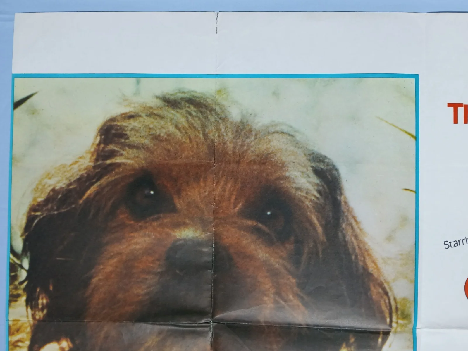 BENJI / É LOLLIPOP (1974/1975) original UK double-bill quad poster, изображение 2