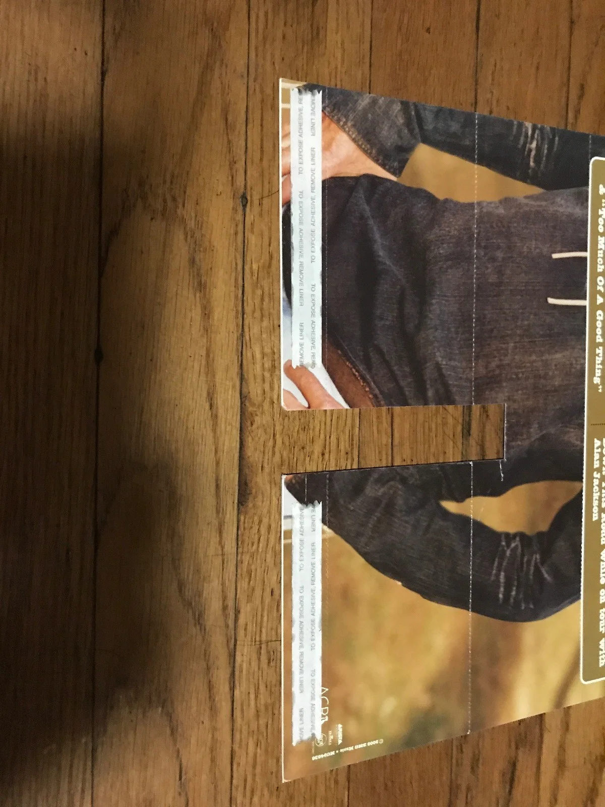 Alan Jackson & The Wrights 2005 Your Promotional Cutout Poster, изображение 3
