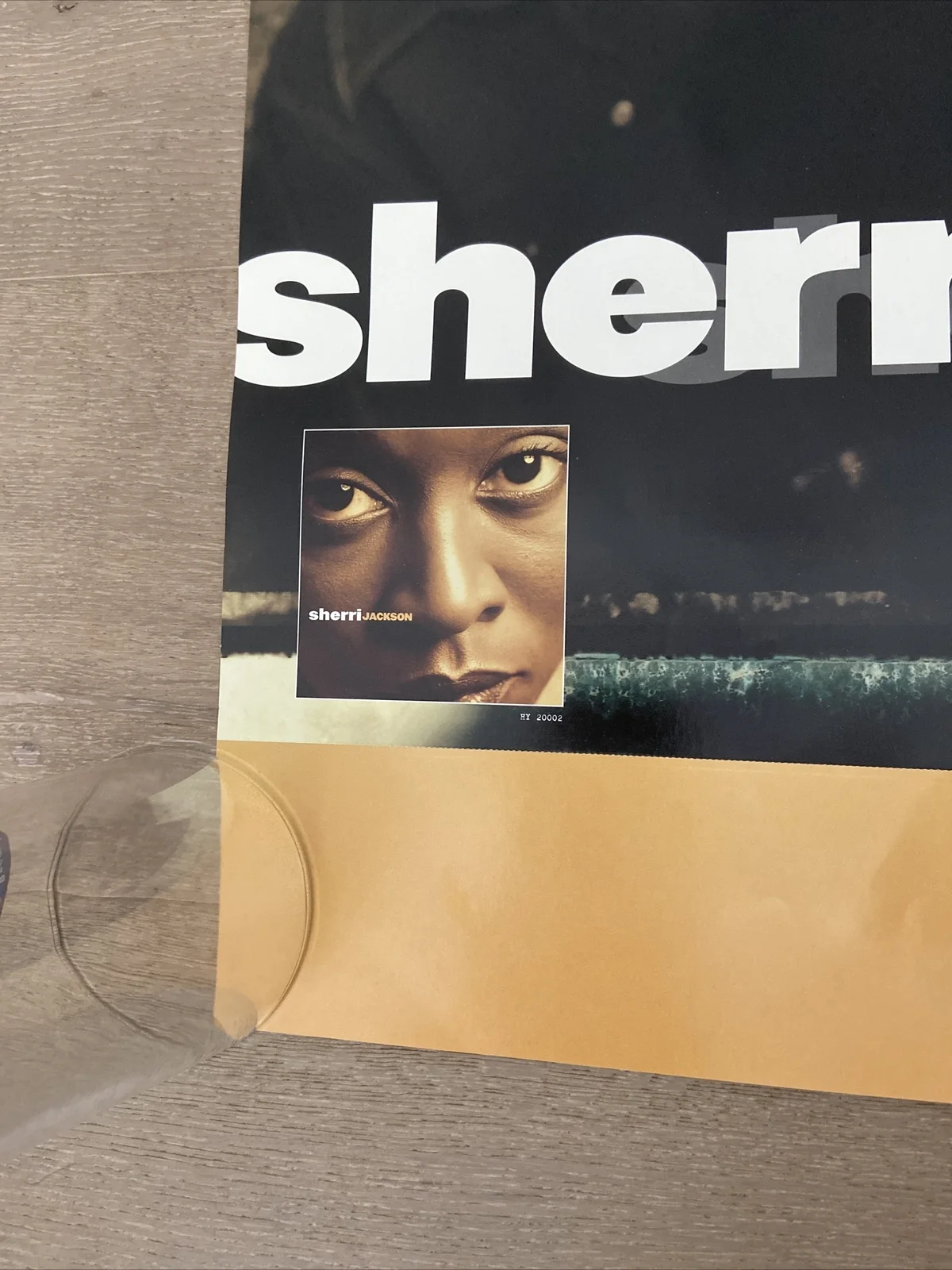SHERRI JACKSON Signed Promotional Poster for her Self Titled Album Hybrid 2002, изображение 5