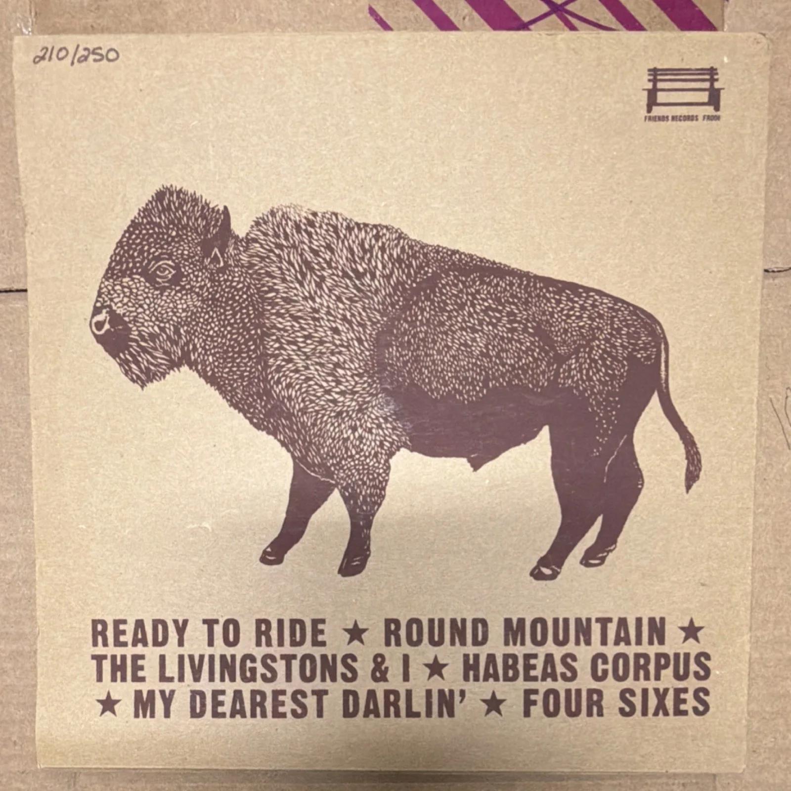 Television Hill My Name's Hardin Autographed Limited Ed. Vinyl Record 210 of 250, изображение 2