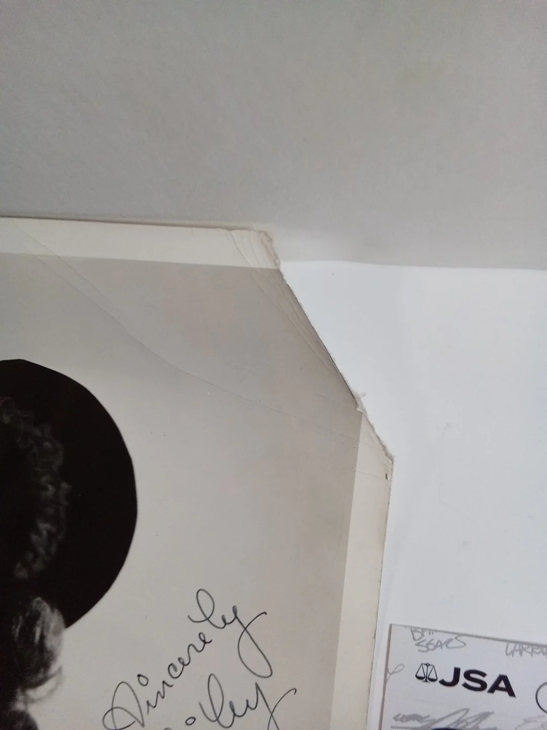 Anne Shirley Signed 8x10 Photo JSA Authenticated Anne Of The Green Gables Star, изображение 4