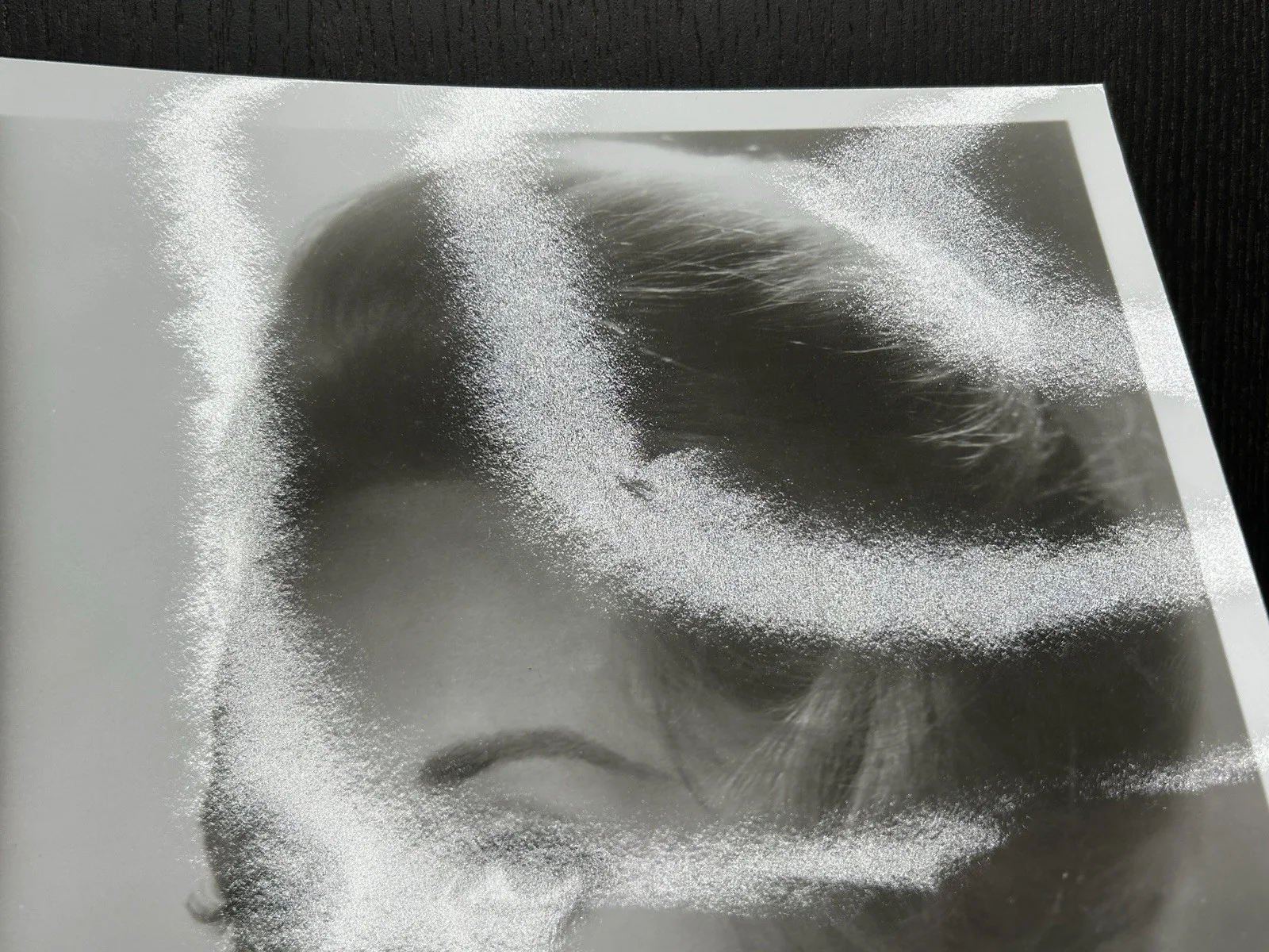 Tippi Hedron — *** TIPPI HEDRON HAND SIGNED PHOTO *** JSA COA Autograph * THE BIRDS - HITCHCOCK, image 4
