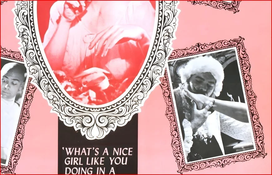 The Notorious Daughter Of Fanny Hill 1966 - Restored 27.2" x 41" US One Sheet, изображение 4