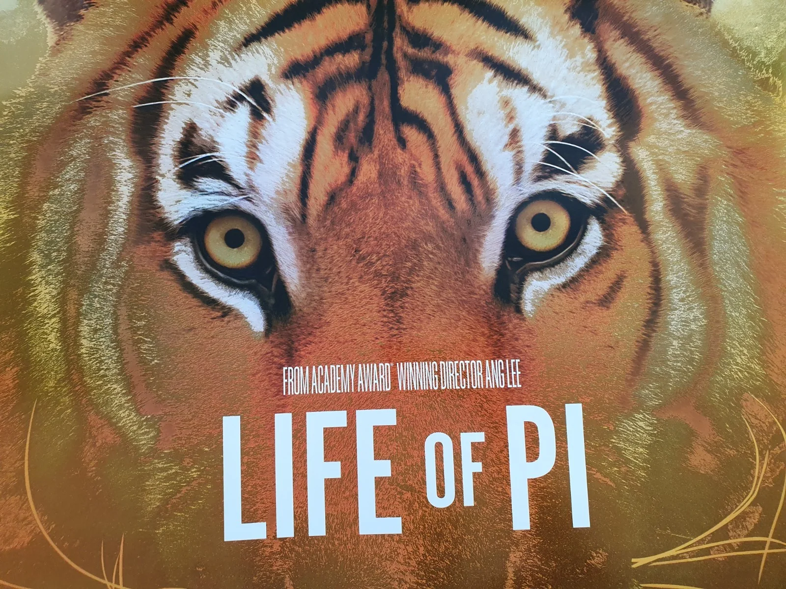 Life of Pi Golden Original Movie Poster, изображение 5