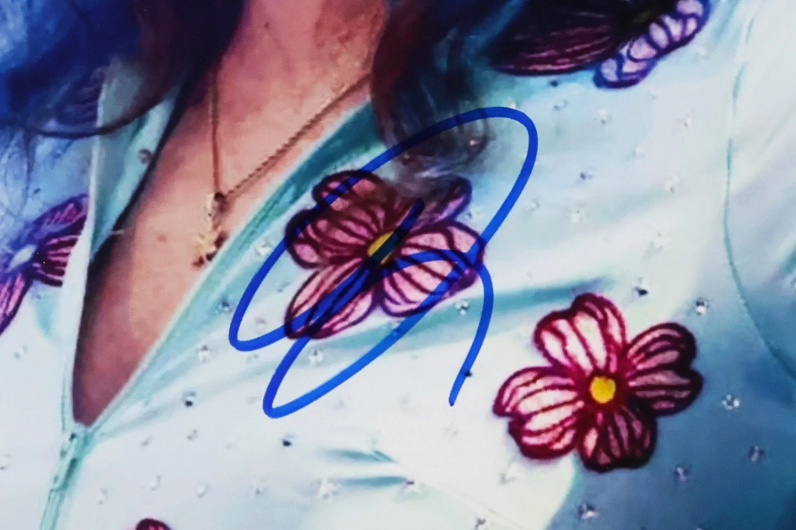 JENNY LEWIS Signed 8x10 Photo RILO KILEY THE POSTAL SERVICE autograph, изображение 2