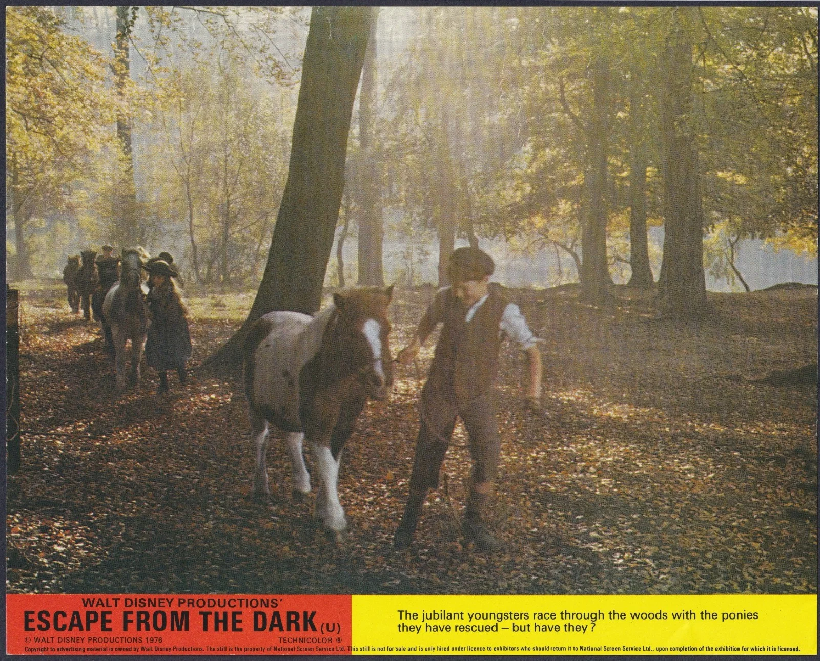 Escape from the Dark 6x ORIGINAL UK FOH Lobby Cards Disney Alastair Sim 1976, изображение 5