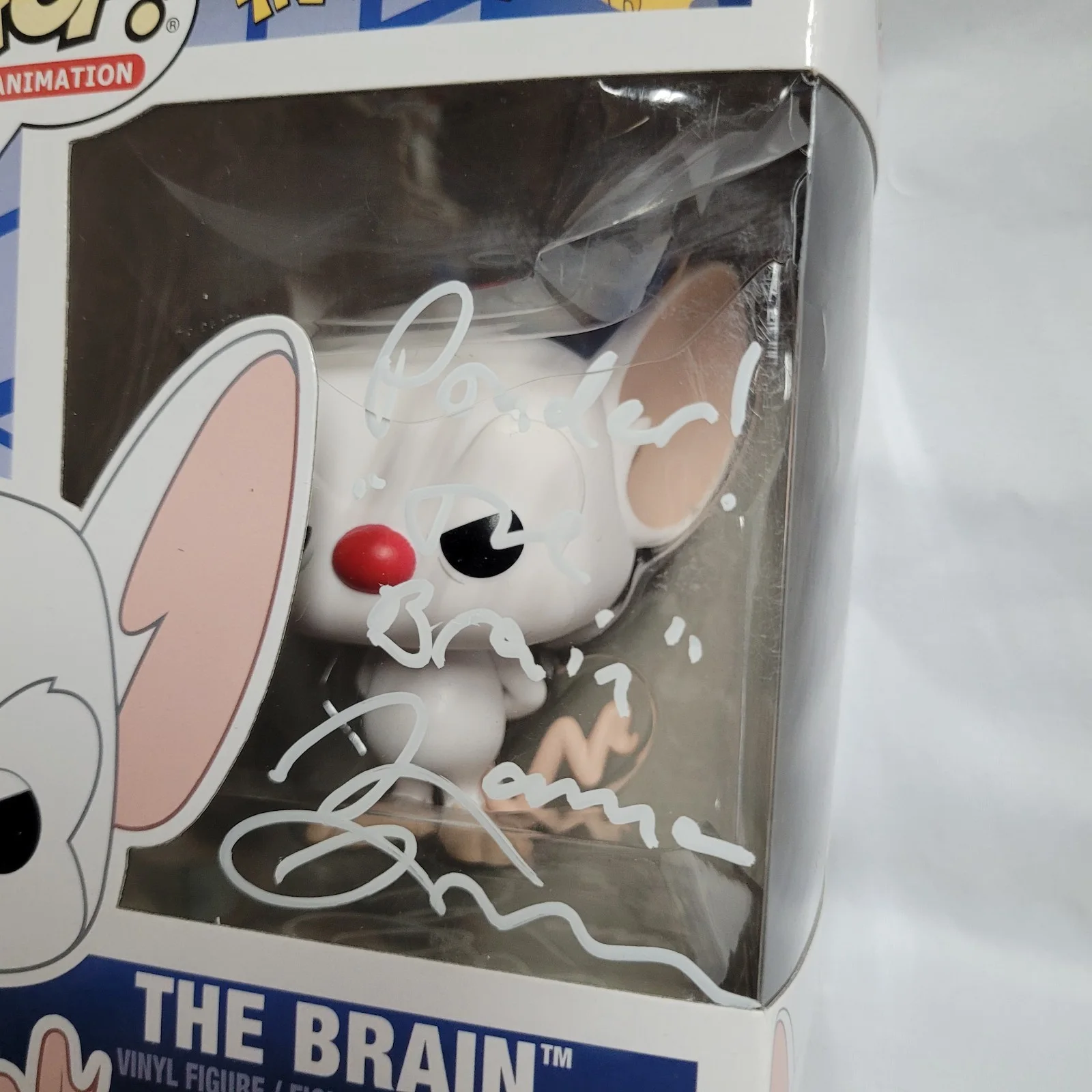 Rob Paulsen — Maurice Lamarche Signed Pinky And The Brain Funko POP! #160 Vinyl Autograph, изображение 2