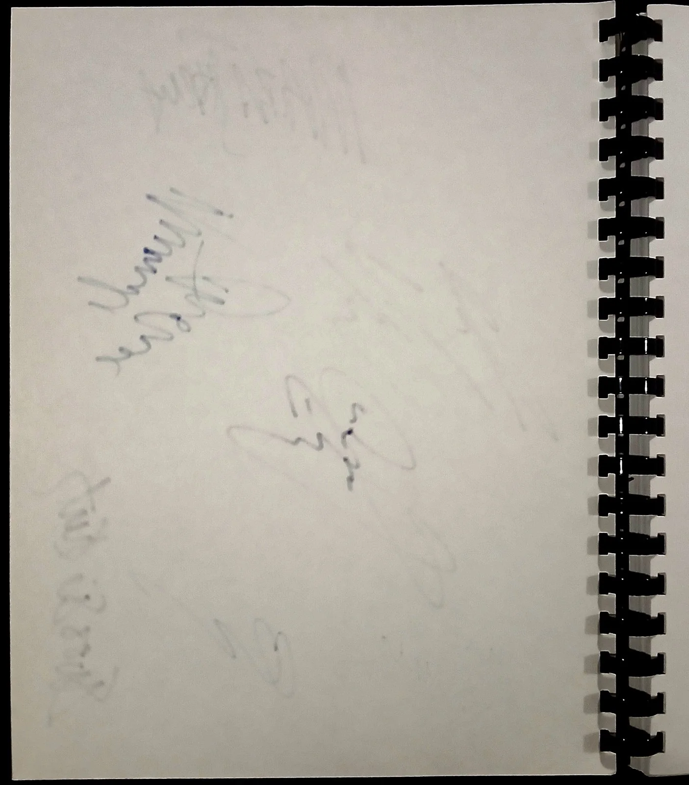 Jim Carrey, Maura Tierney, Jennifer Tilly, Cast — Jim CARREY Jennifer TILLY + CAST Signed Autograph "LIAR LIAR" SCRIPT Auth w/ COA, изображение 5