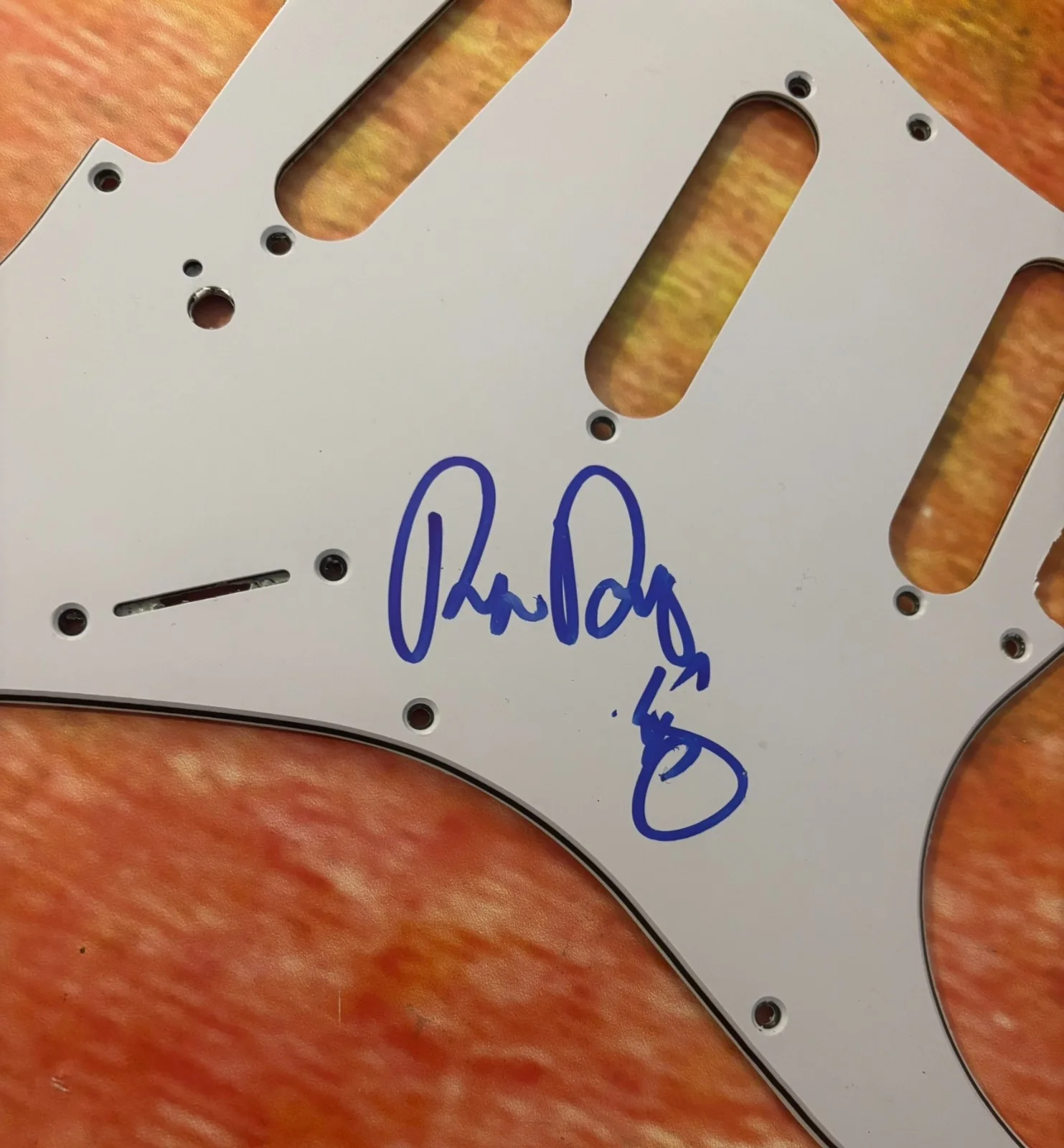 GFA Blues Guitarist * ERIC RAW DAWG GALES * Signed Electric Pickguard PROOF COA, image 3
