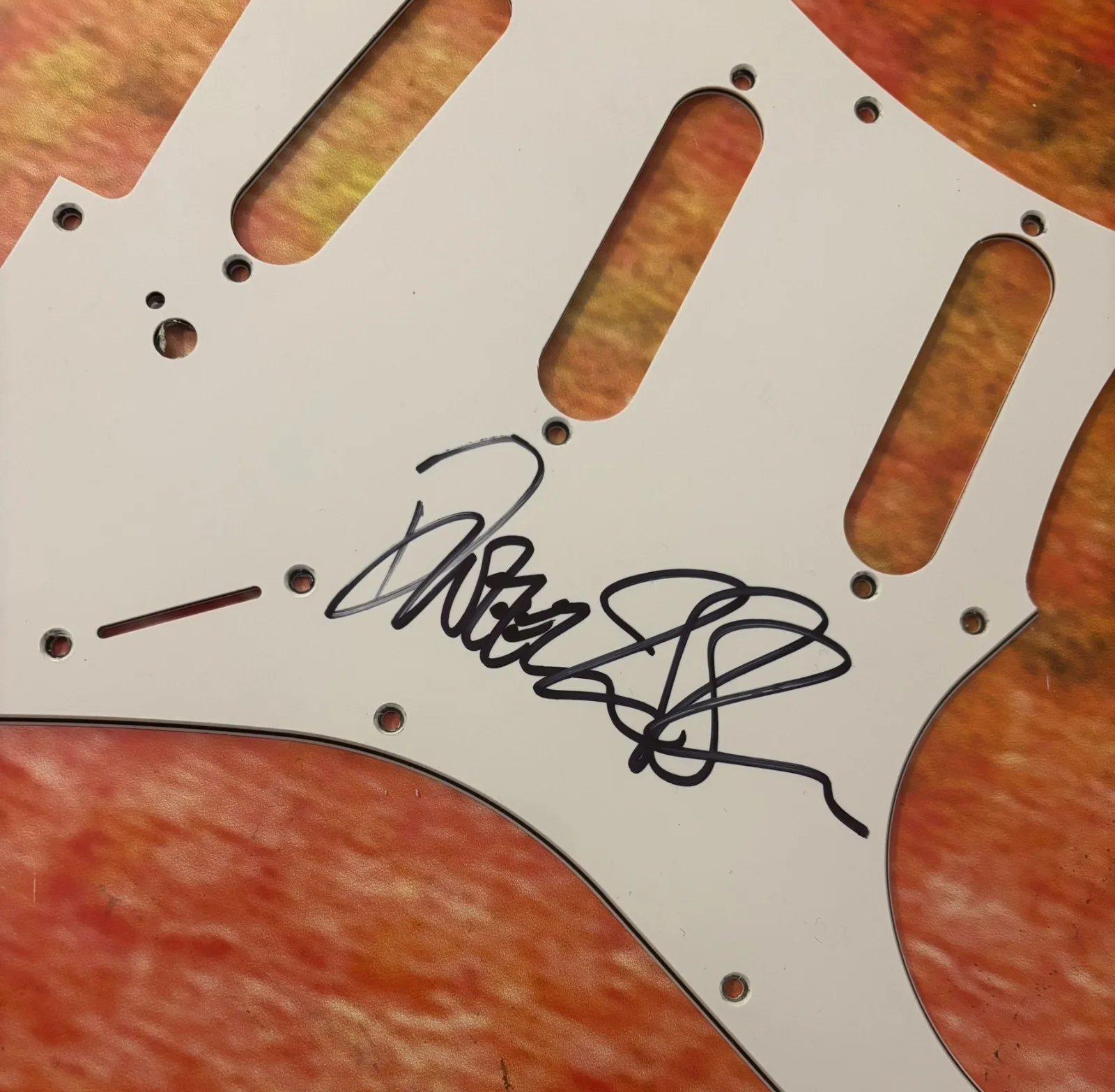 GFA Zappa's Son & Guitarist * DWEEZIL ZAPPA * Signed Electric Pickguard COA, изображение 3