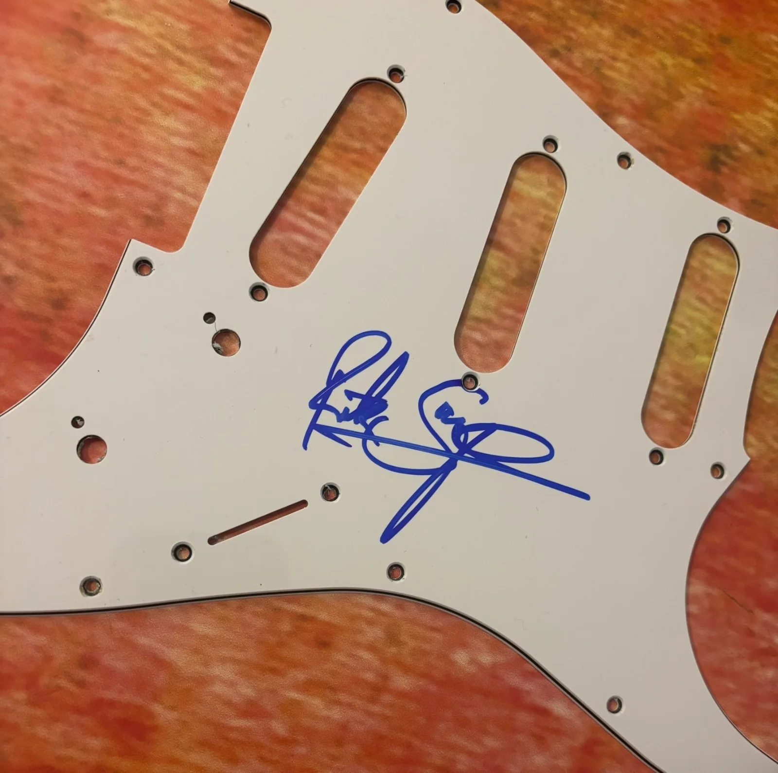 GFA Def Leppard Bassist * RICK SAVAGE * Signed Electric Pickguard PROOF COA, image 3