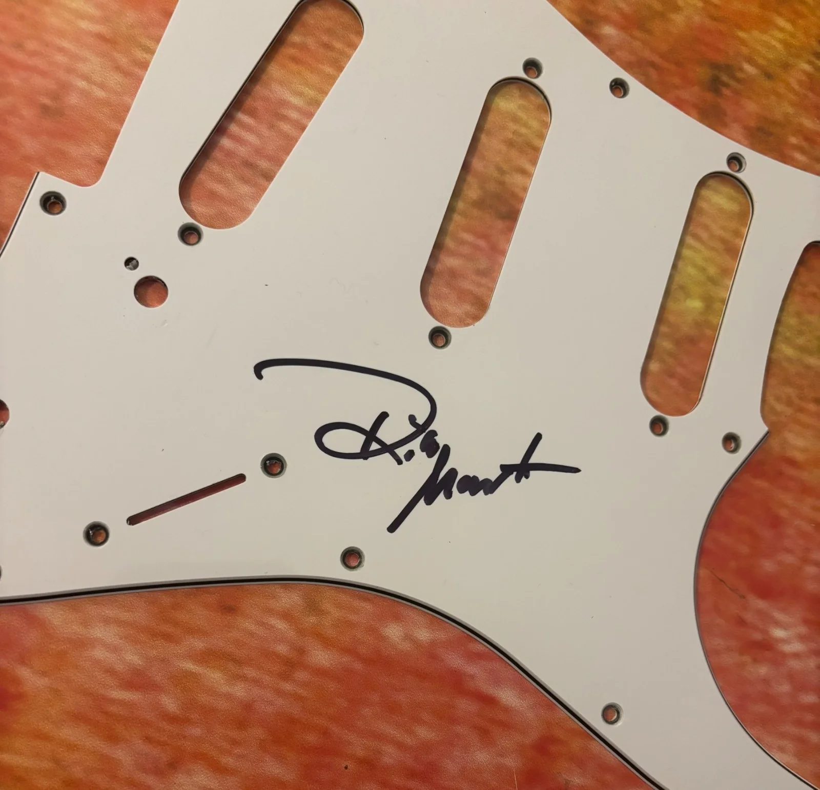 GFA Steely Dan Drummer * RICK MAROTTA * Signed Electric Pickguard PROOF COA, image 2