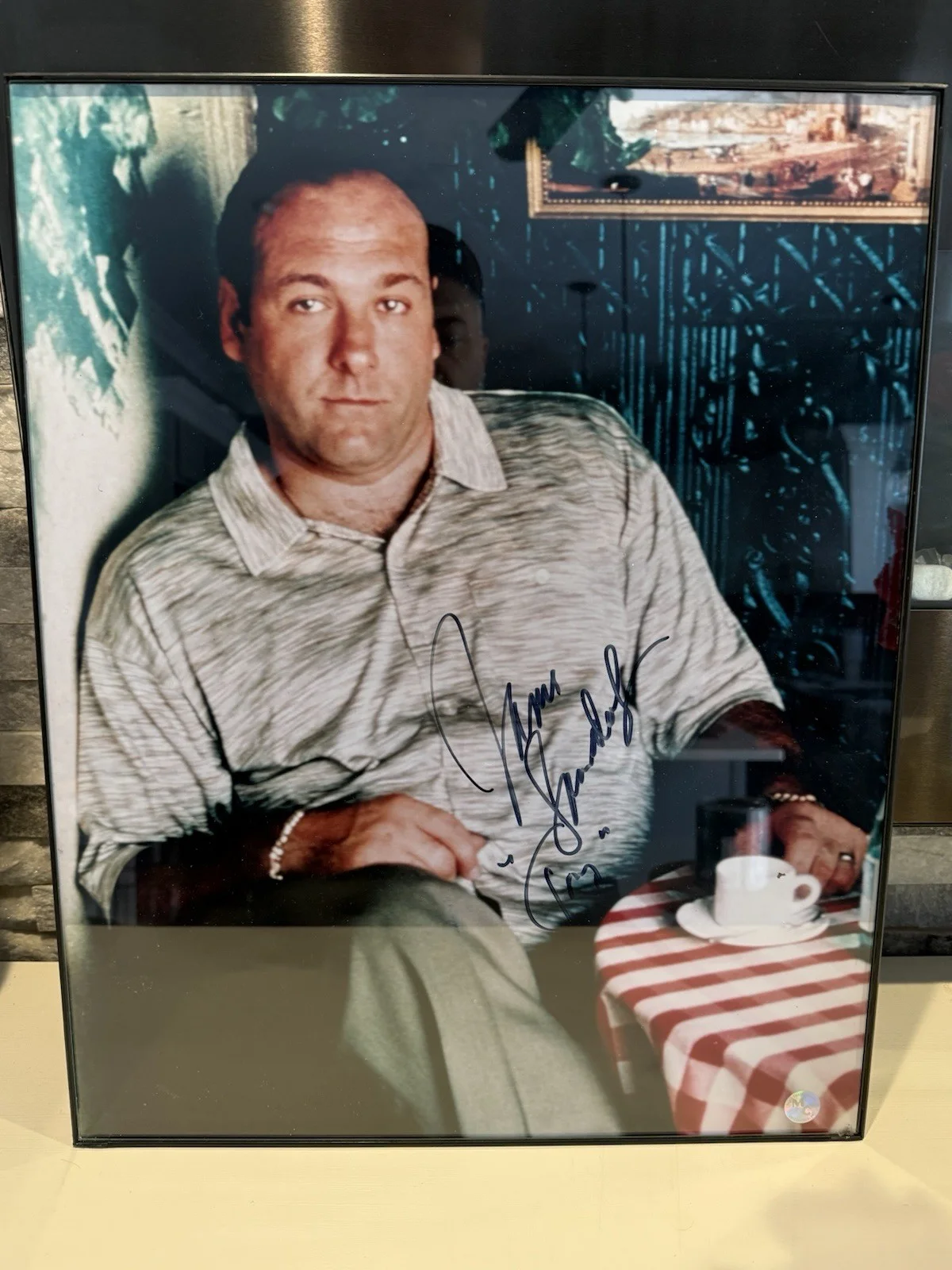 tony soprano — Signed Tony Soprano Picture 18x20, image 2
