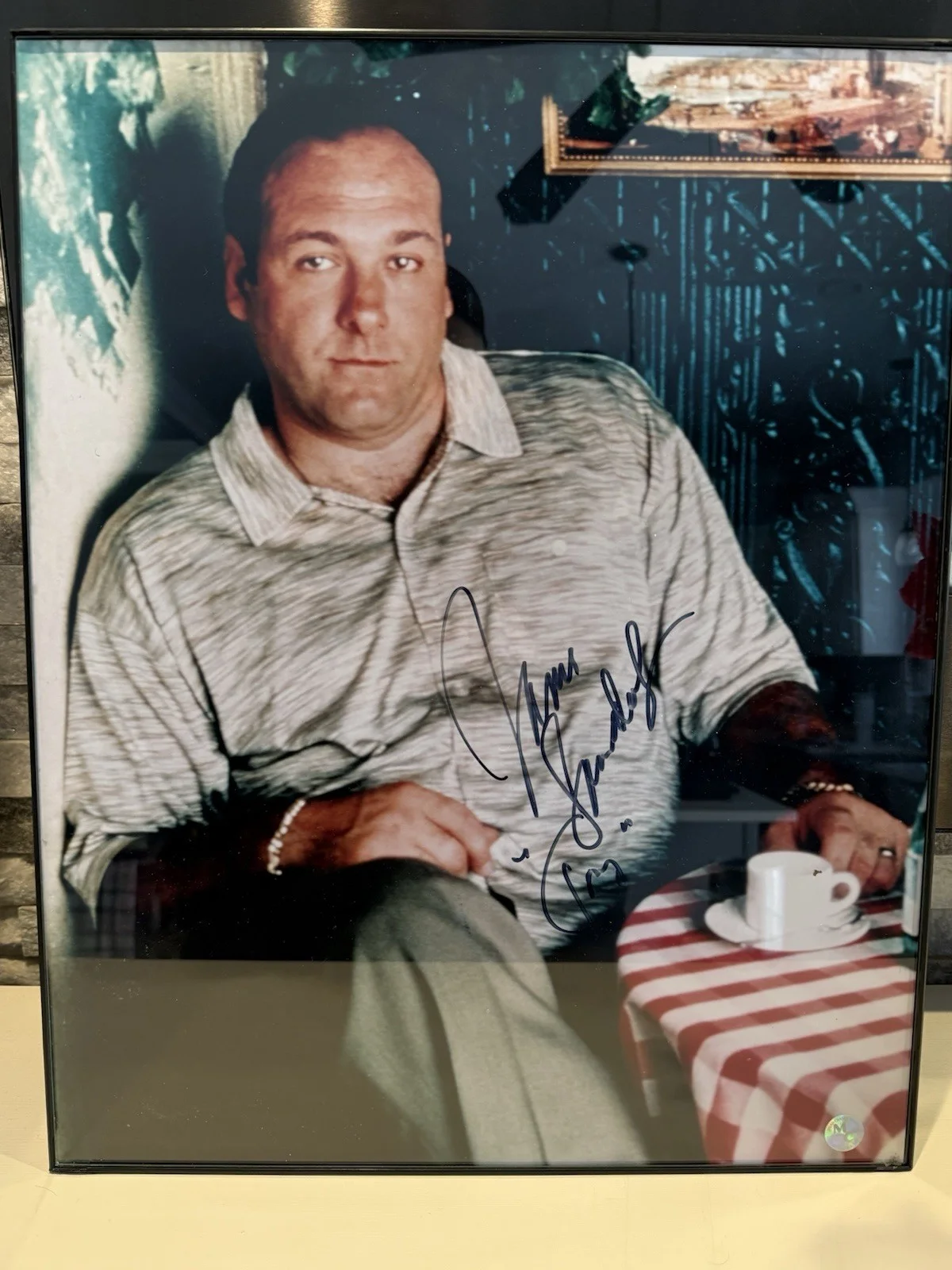 tony soprano — Signed Tony Soprano Picture 18x20, image 3