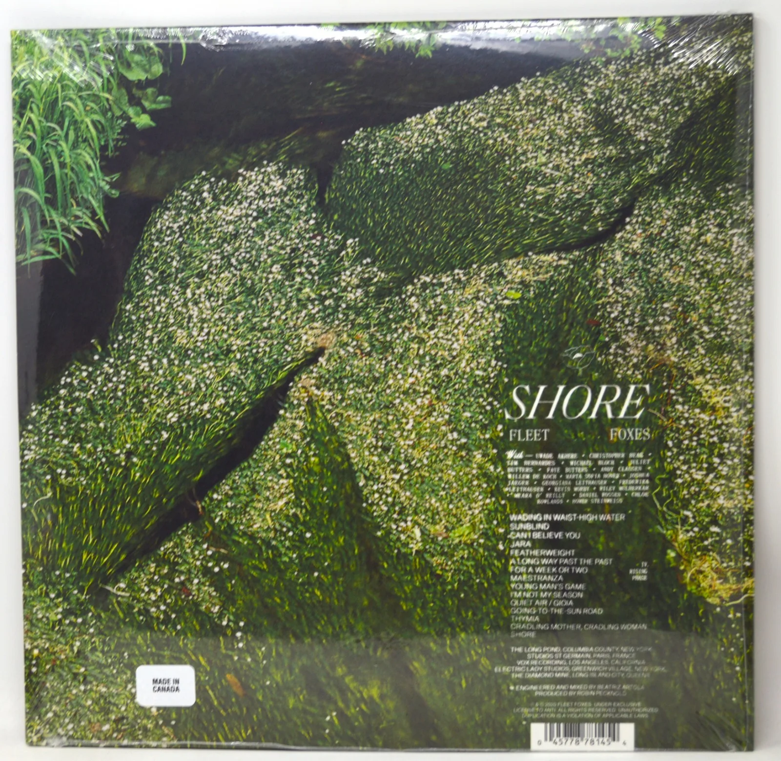 ROBIN PECKNOLD Fleet Foxes Signed Art Card With LP 5 YEARS OF SHORE BAS #BT27479, image 3