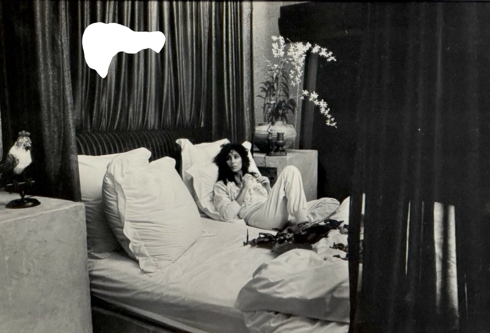 Signed by Mark Sennet Limited Edition Photograph Cher and Blue, 1984 1/25, image 2