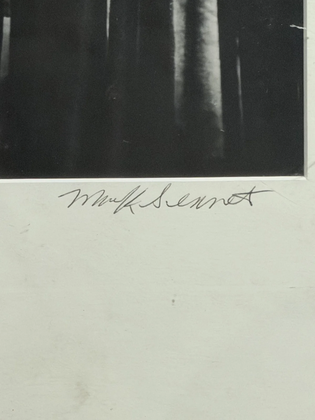 Signed by Mark Sennet Limited Edition Photograph Cher and Blue, 1984 1/25, image 4