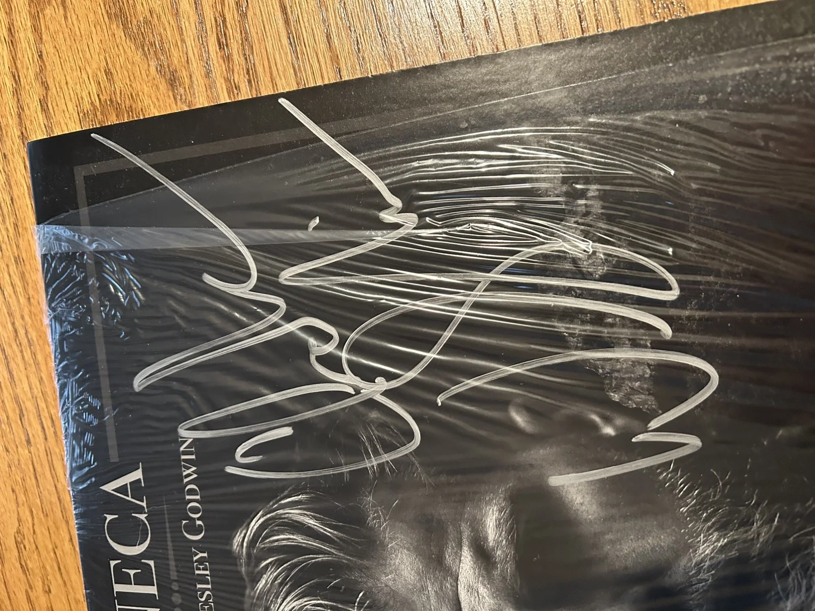 Charles Wesley Godwin - Seneca signed vinyl LP, image 3