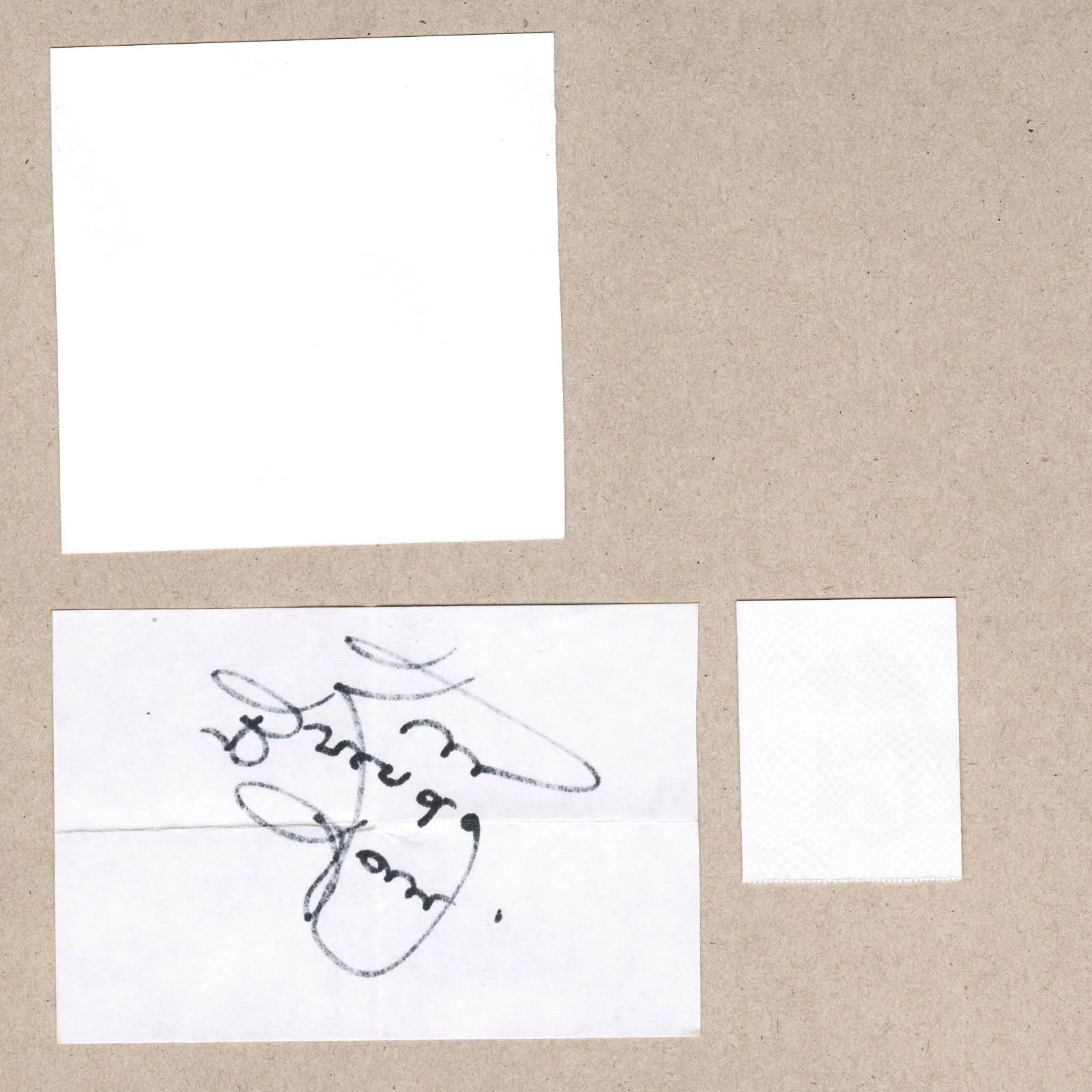 1991 Brenda Lee Signed Autograph w/Fan Taken 3.5 x 3.5 OOAK Photo Ticket Stub, изображение 5