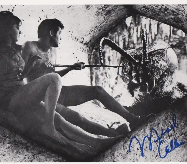 MICHAEL CALLAN signed MYSTERIOUS ISLAND 8x10 w/ coa RAY HARRYHAUSEN's GIANT ANT, изображение 2