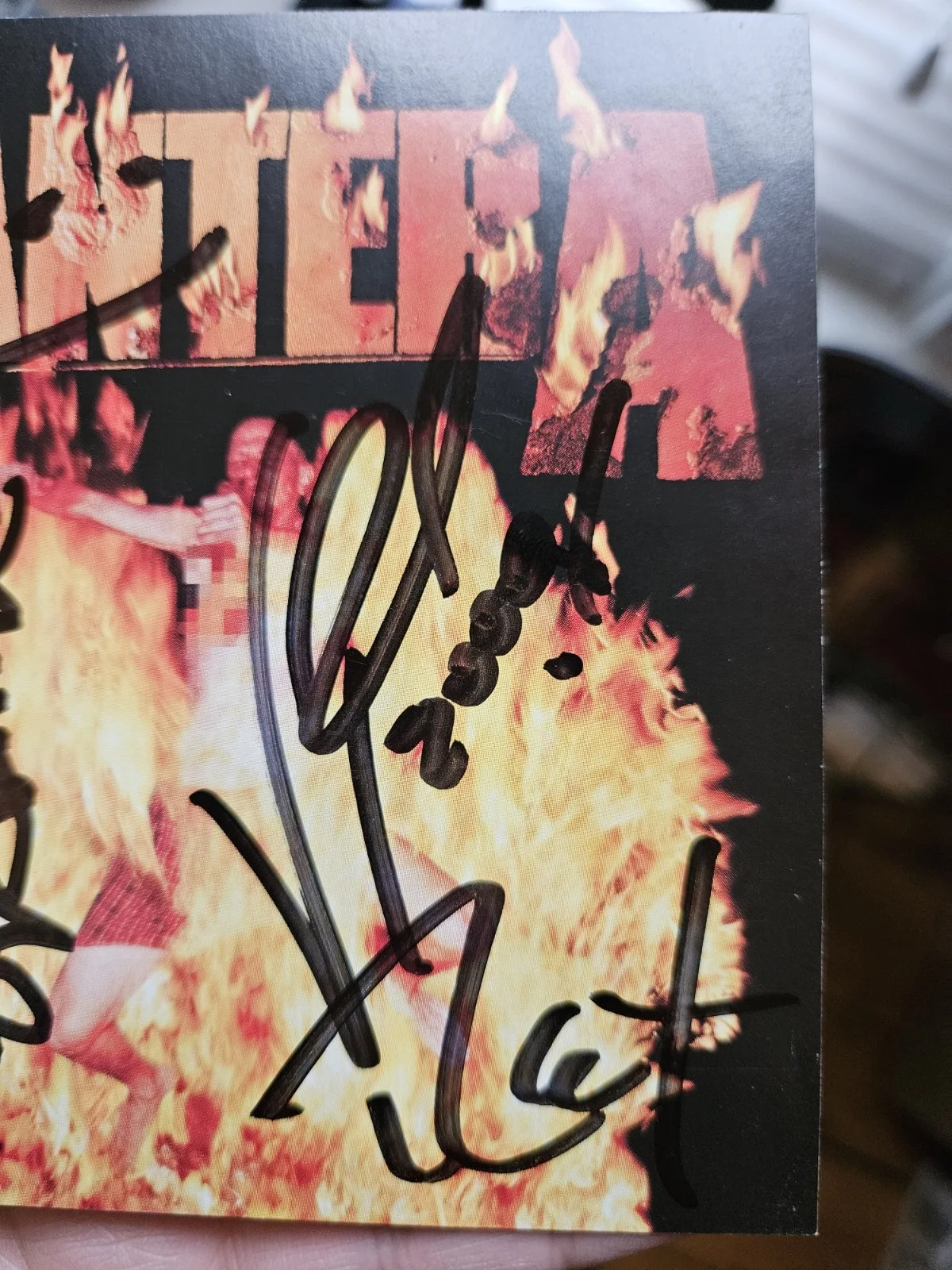 Pantera Band all 4 Signed Cd Insert Reinventing Steel 2000, image 4