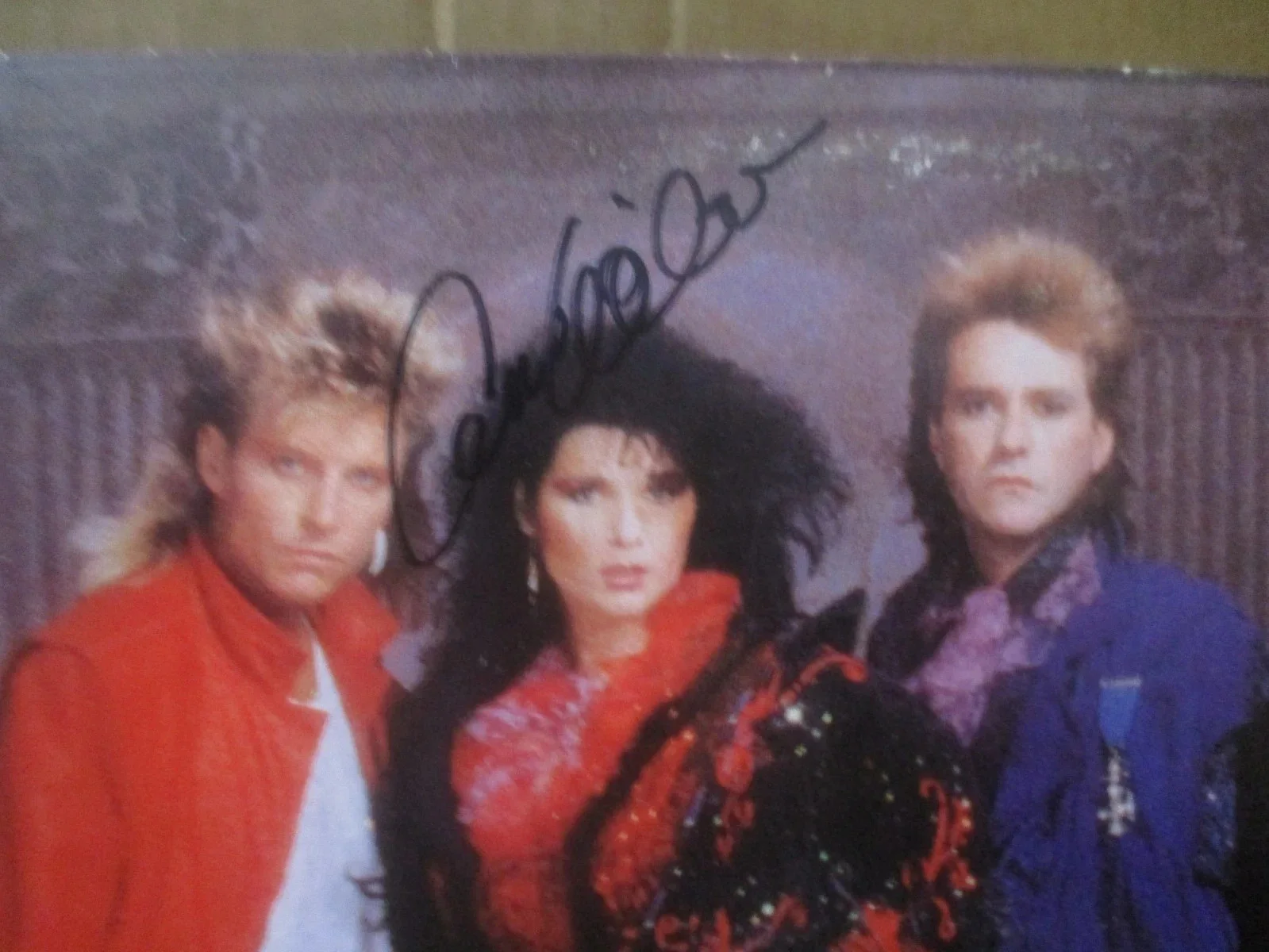 HEART JSA CERTIFIED AUTHENTIC AUTOGRAPHED/SIGNED HEART ALBUM ANN & NANCY WILSON, image 3