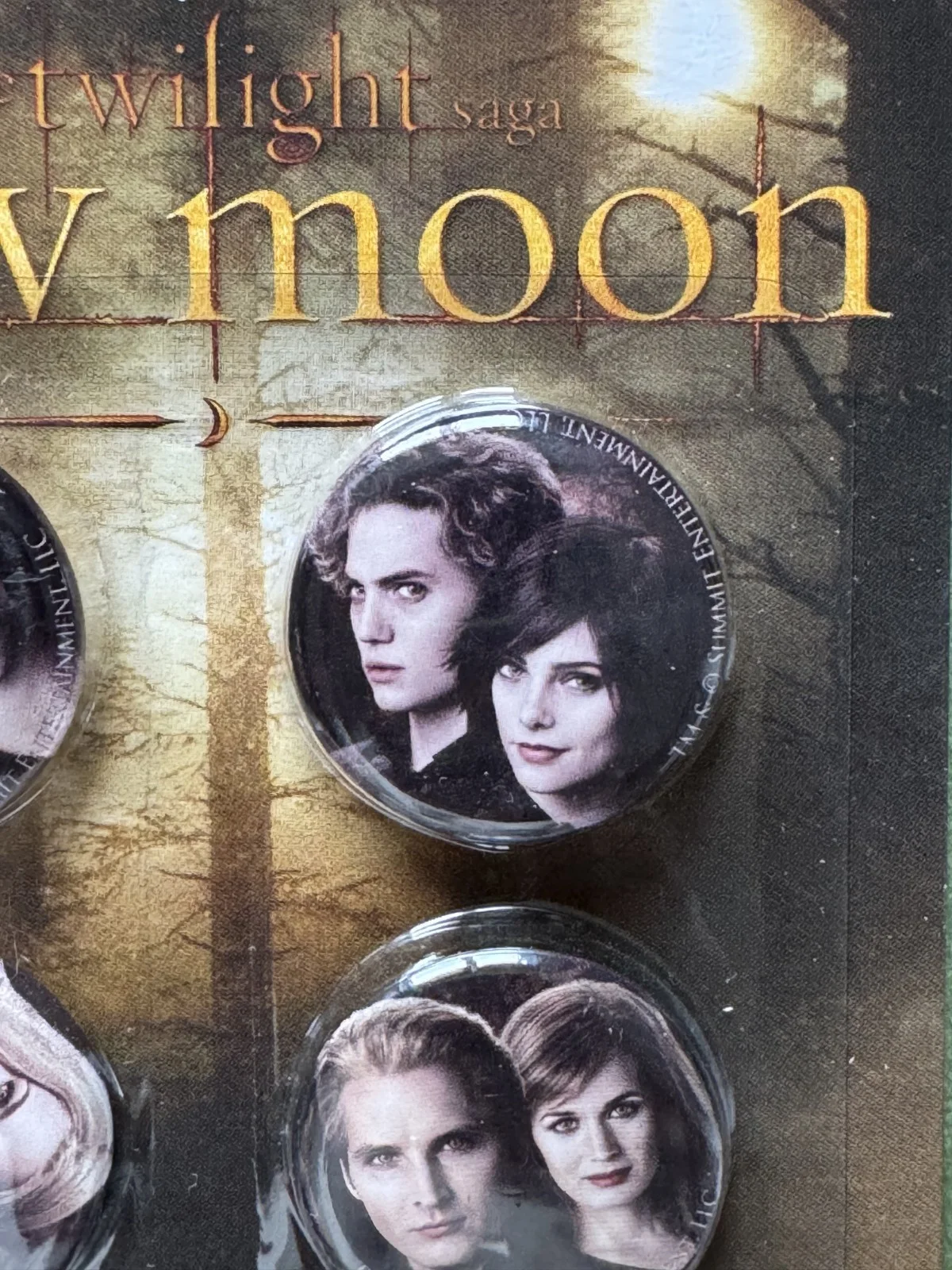 Official Twilight Saga: New Moon Collectable Pin Set by NECA - Set of 4, image 4