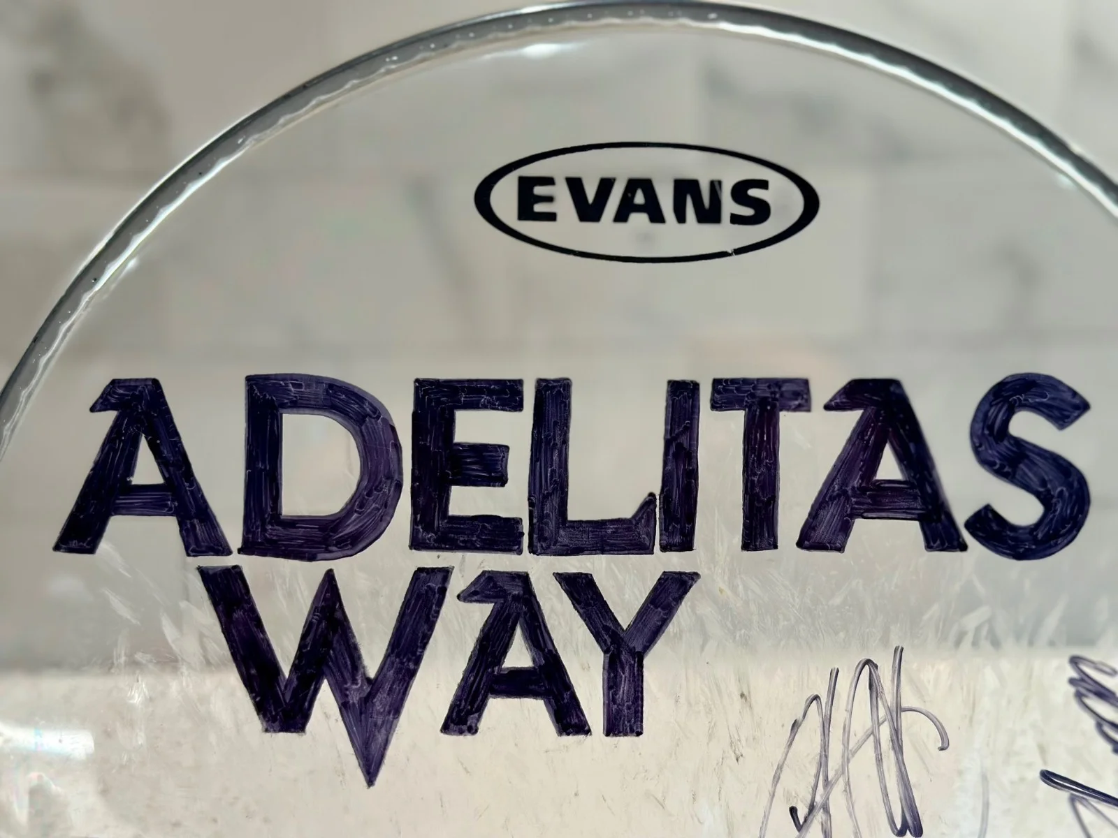 Signed Adelitas Way 12" Drum Head – Concert Used with Band Logo, изображение 2