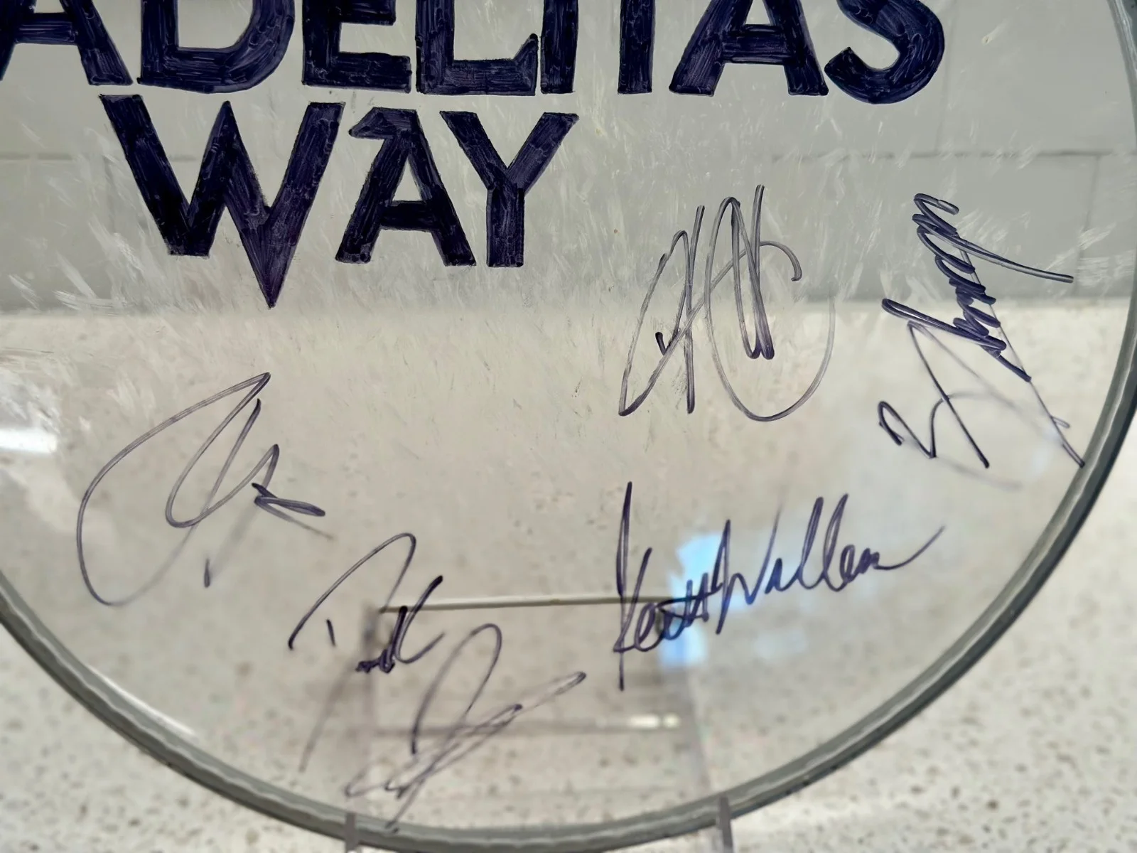 Signed Adelitas Way 12" Drum Head – Concert Used with Band Logo, изображение 3