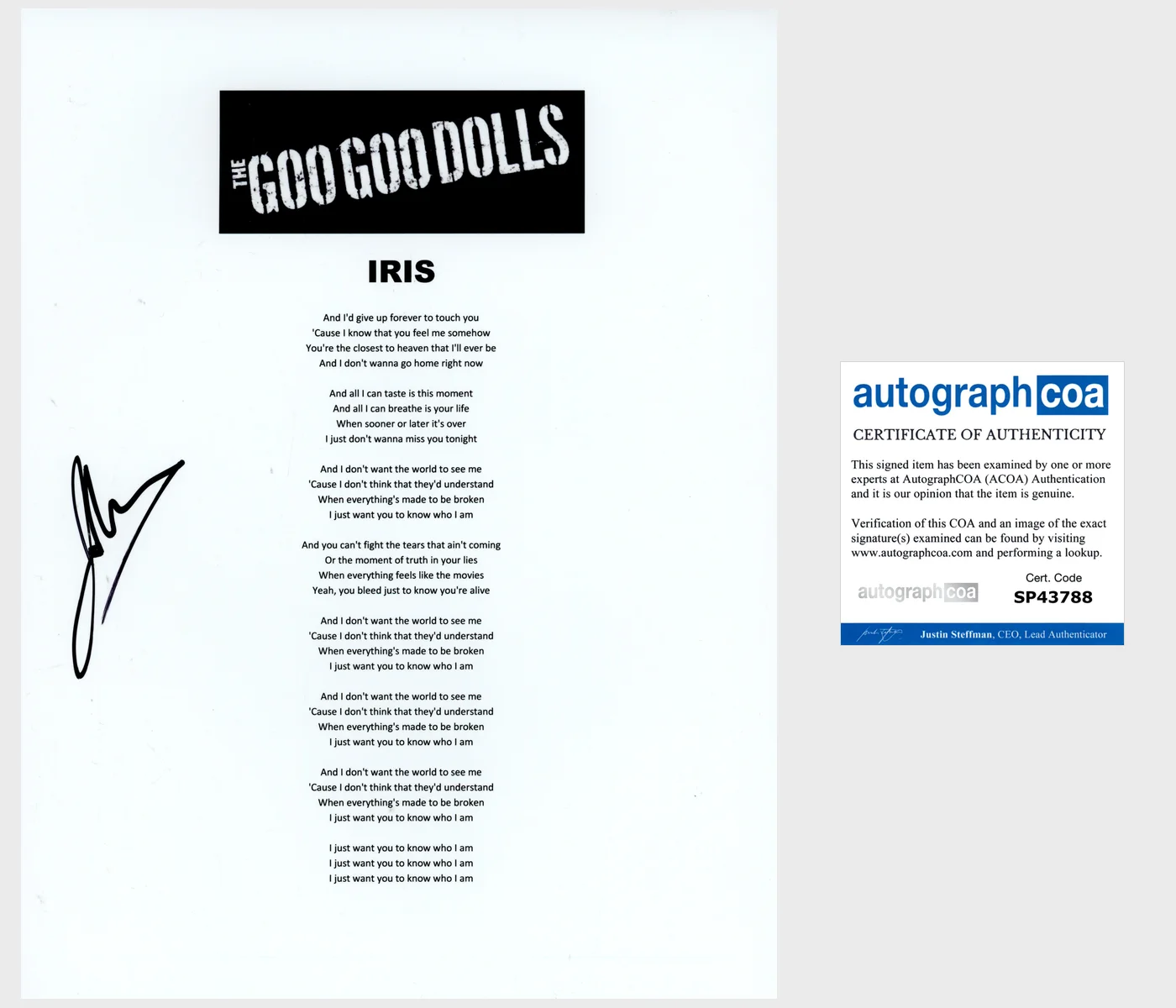 JOHNNY RZEZNIK SIGNED GOO GOO DOLLS IRIS LYRIC SHEET EXACT PROOF & AUTOGRAPH COA, image 2