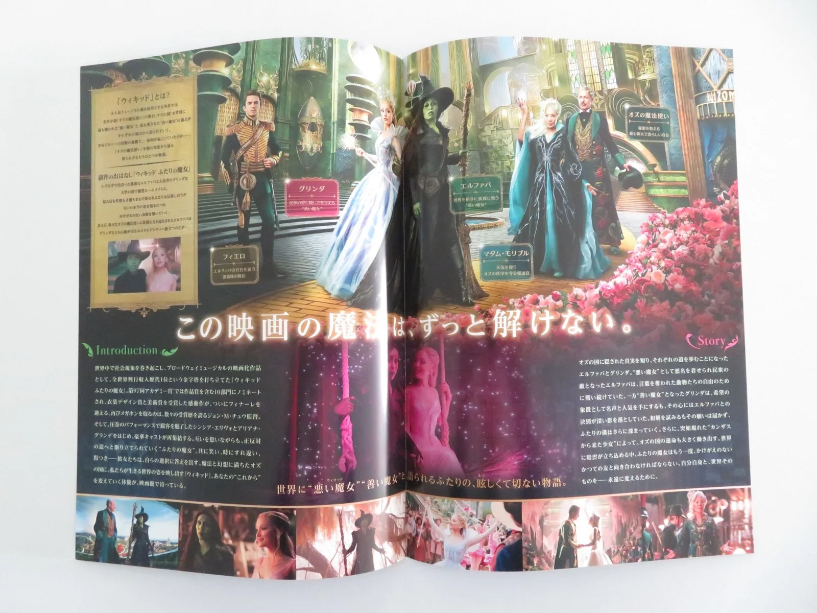Wicked: For Good - B Japanese Chirashi (B5) Poster Erivo Grande 2025, изображение 2