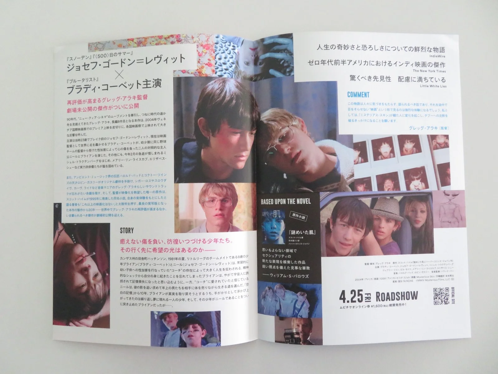 Mysterious Skin Japanese Chirashi (B5) Poster Elisabeth Shue Gordon-Levitt 2004, изображение 2