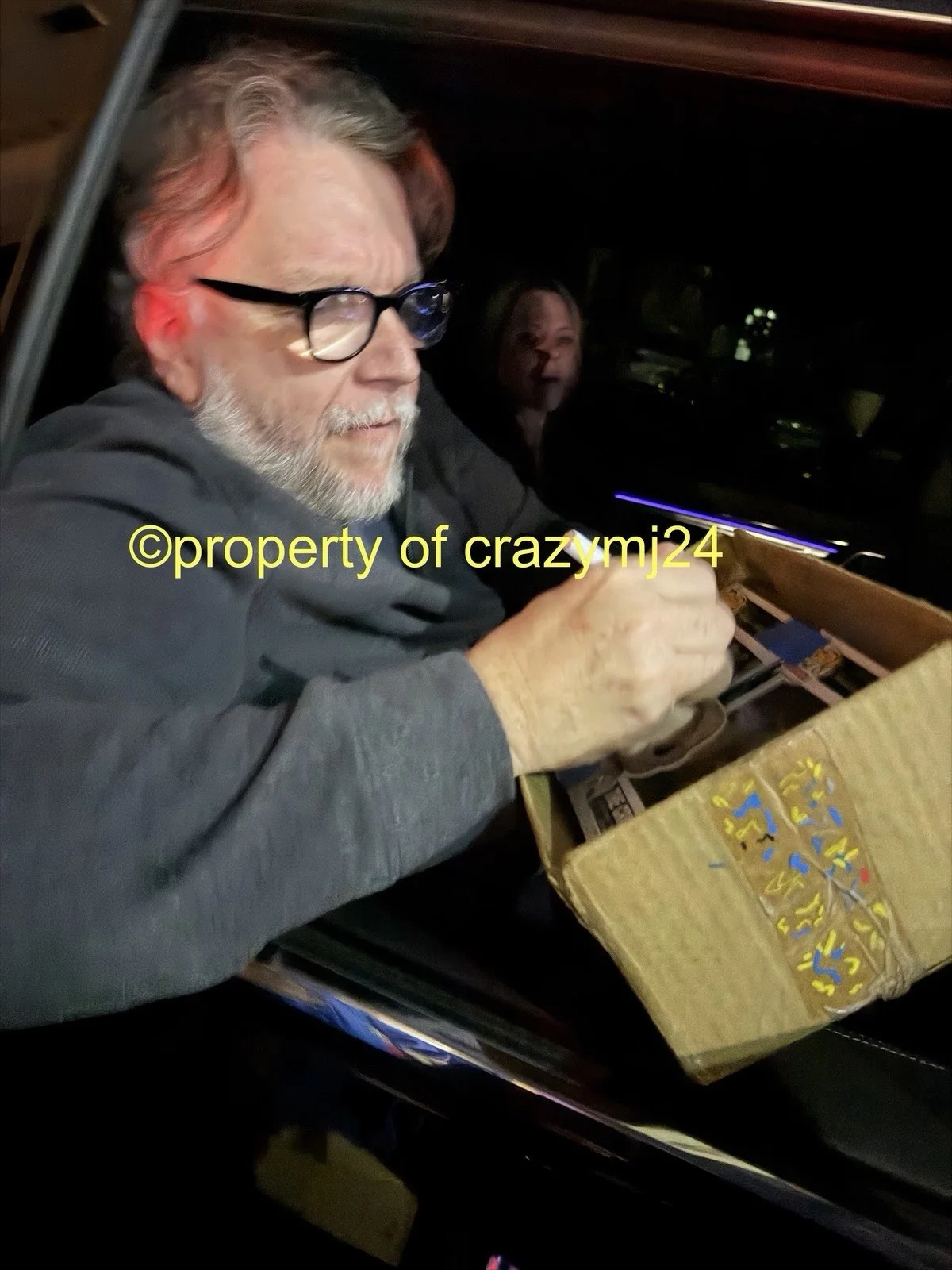 Guillermo del Toro Signed Frankenstein Creature Funko Autograph Proof SWAU COA, изображение 2