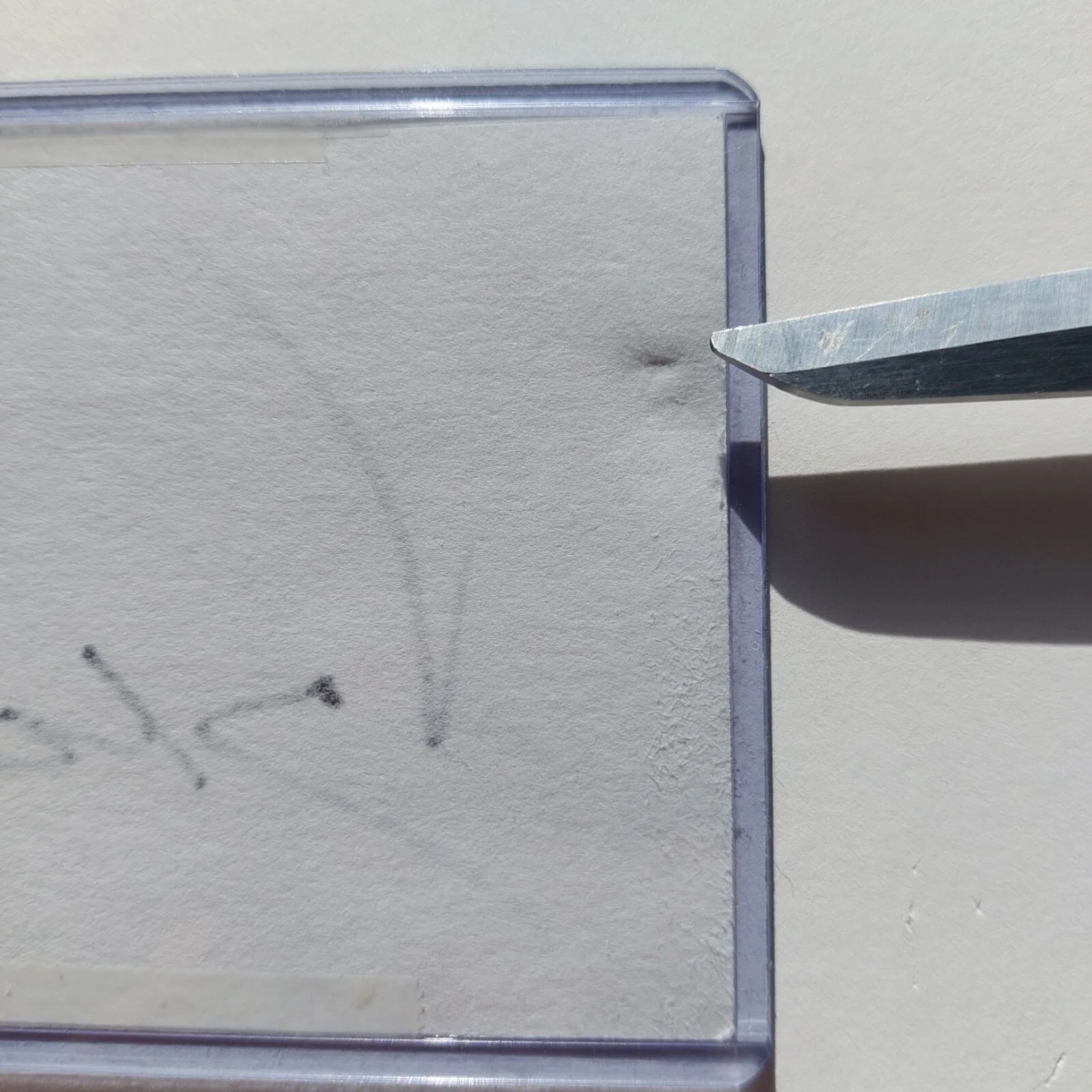 Jean Claude Van Damme — Jean Claude Van Damme Signed 3x5 Index Card (Bloodsport, Kickboxer,) JVCD, изображение 2