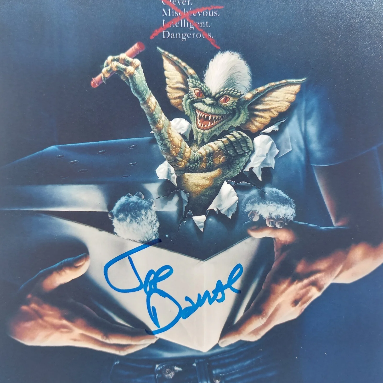 Joe Dante — Joe Dante Signed 8x10 Photo with COA Vintage Autographed Gremlins The Howling, изображение 2