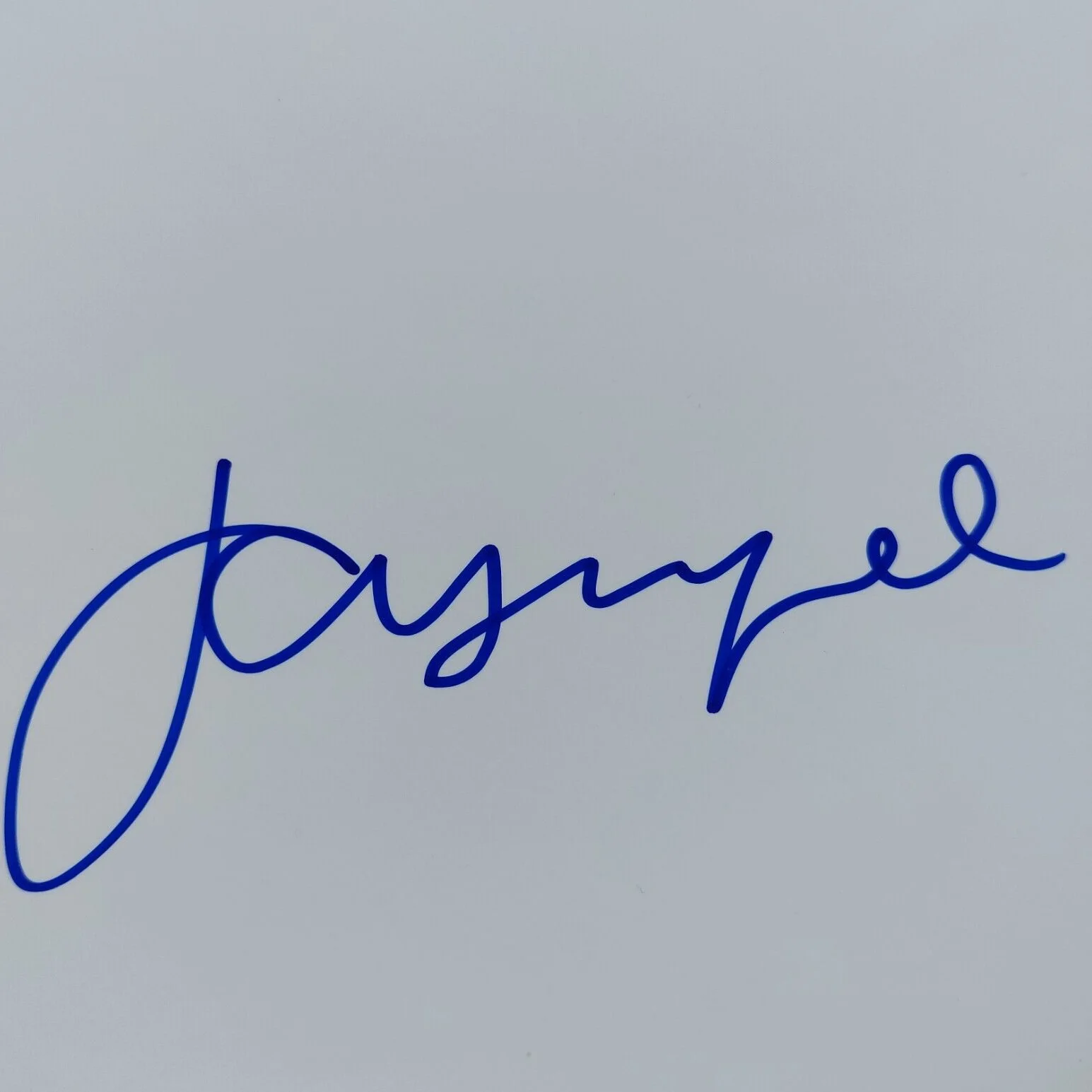 Jason Lee — Jason Lee Signed 8.5x11 Cut (My name is Earl, Mallrats, Almost famous, Alvin), изображение 4