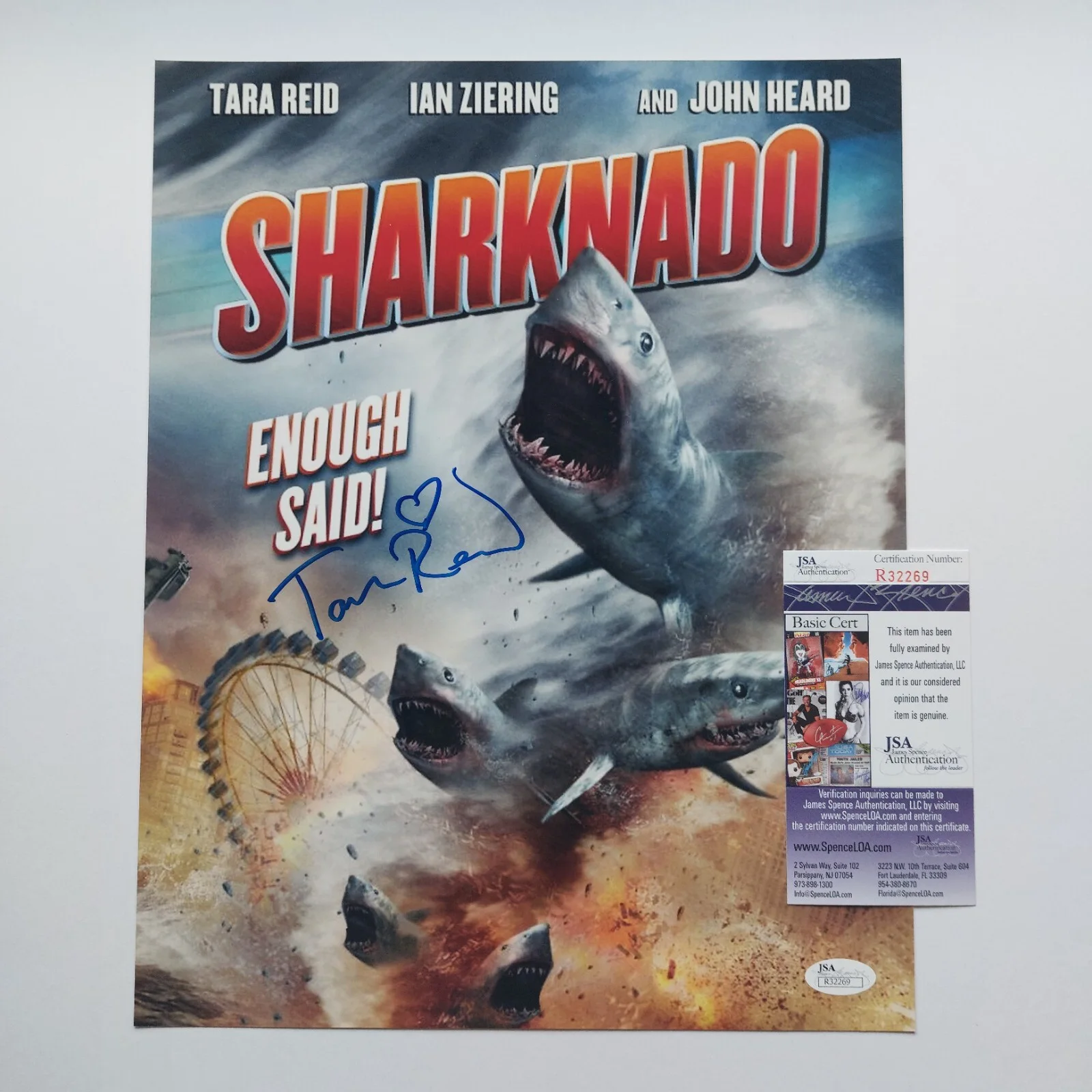 Tara Reid — Sharknado signed 11x14 Photo Tara Reid Signed JSA COA American Pie Big Lebowski, image 4