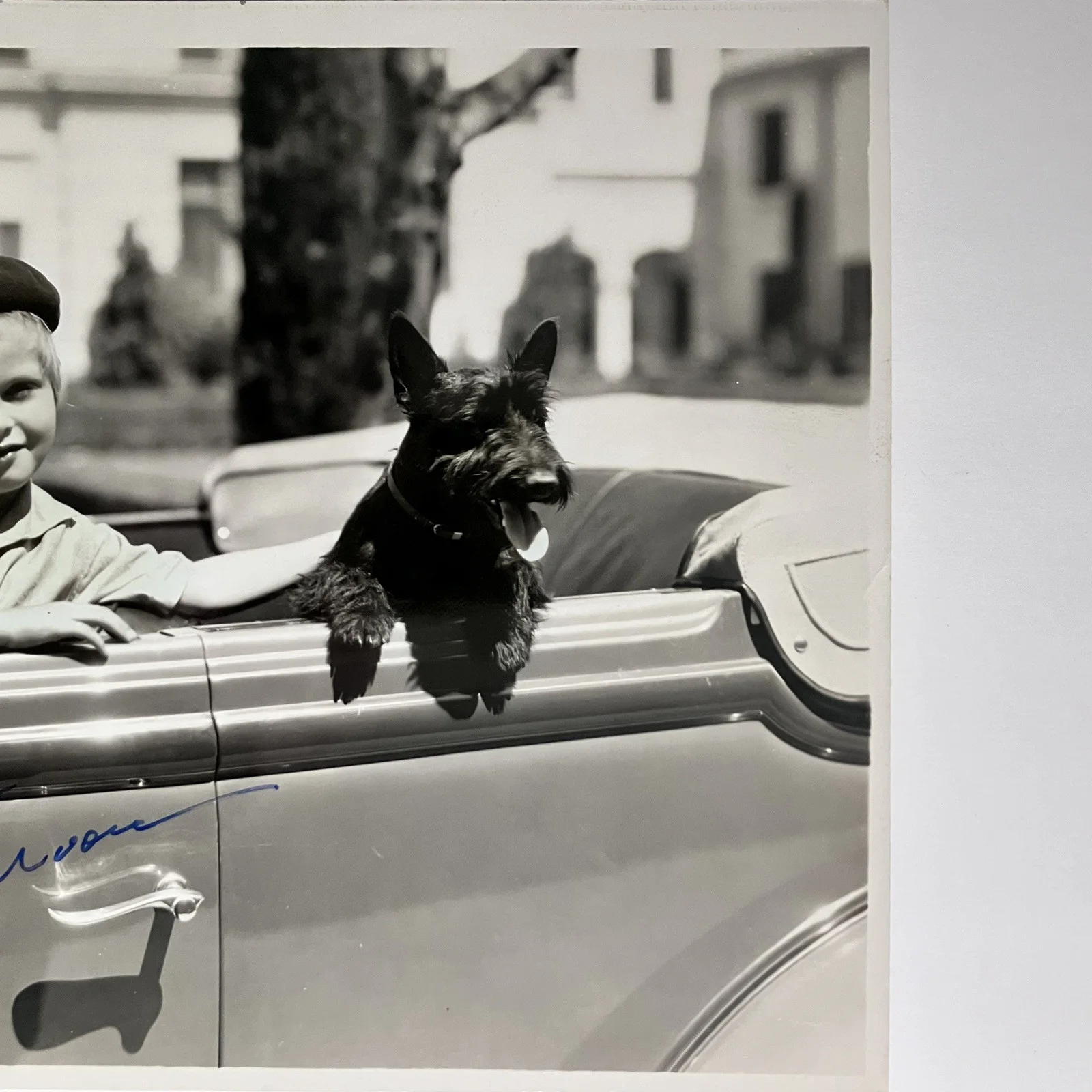 Dickie Moore — 1930s DICKIE MOORE (d.2015) Signed Publicity 8x10 / CHILD STAR Autographed Later, image 4