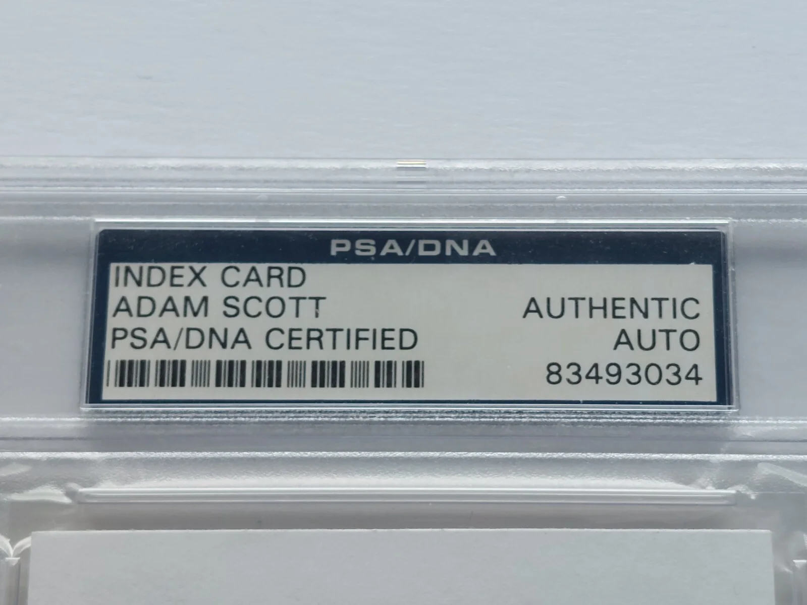Adam Scott — Adam Scott SIGNED 3x5 Index Card Severance Parks and Recreation PSA COA, image 3