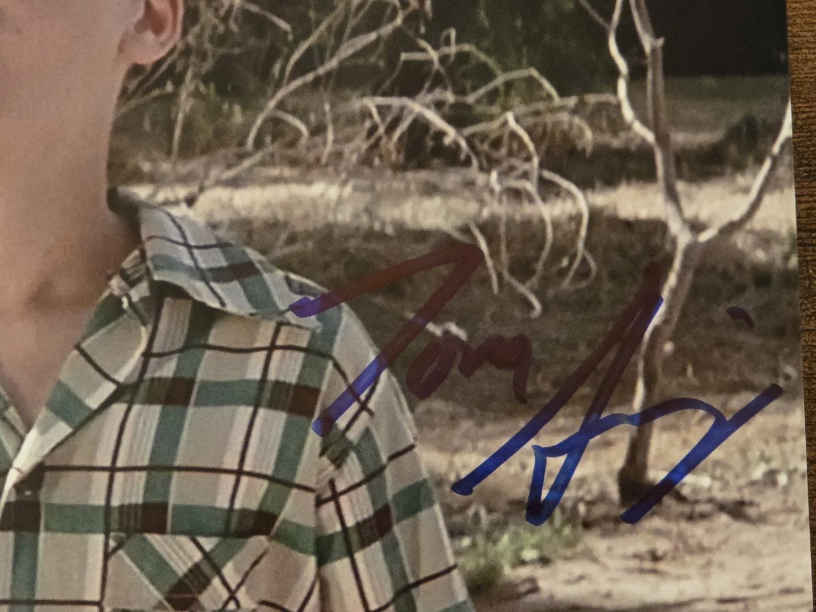 Tom Guiry — TOM GUIRY SIGNED 8X10 SCOTTY SMALLS PHOTO THE SANDLOT COA, image 2