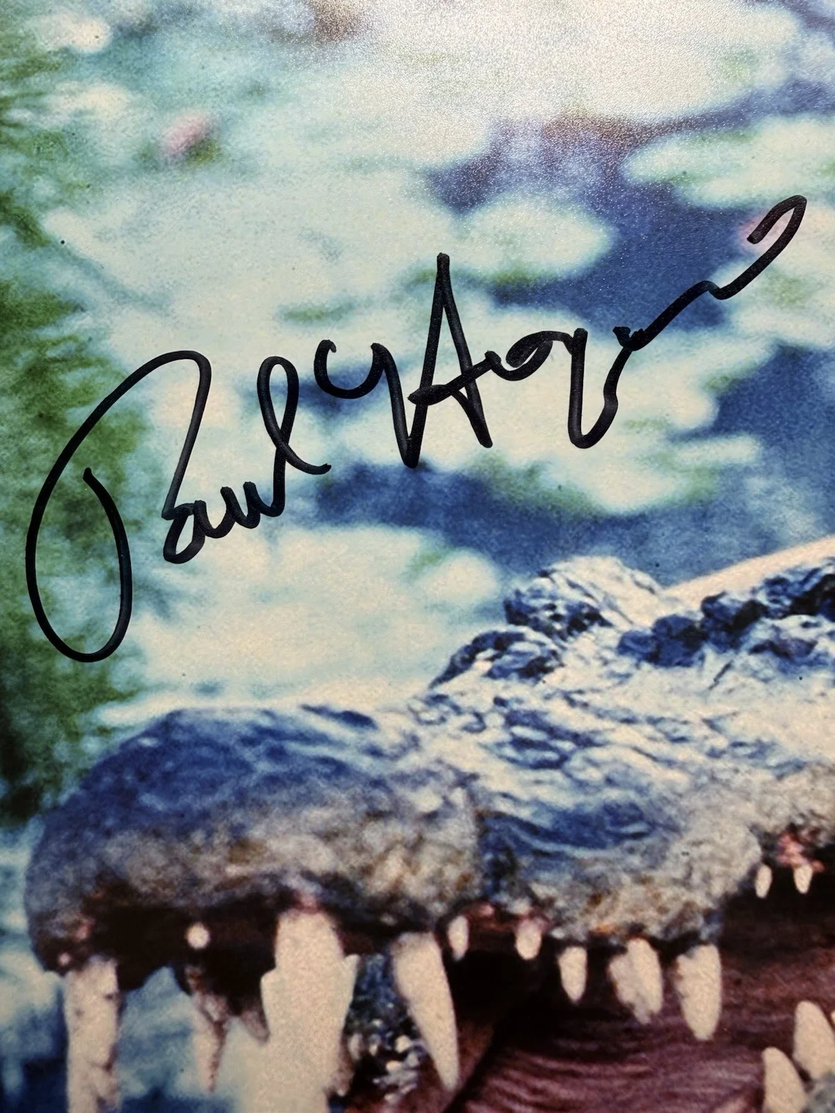 Paul Hogan — Paul Hogan Autograph Signed 11x14 Crocodile Dundee Photo with Beckett COA, image 2