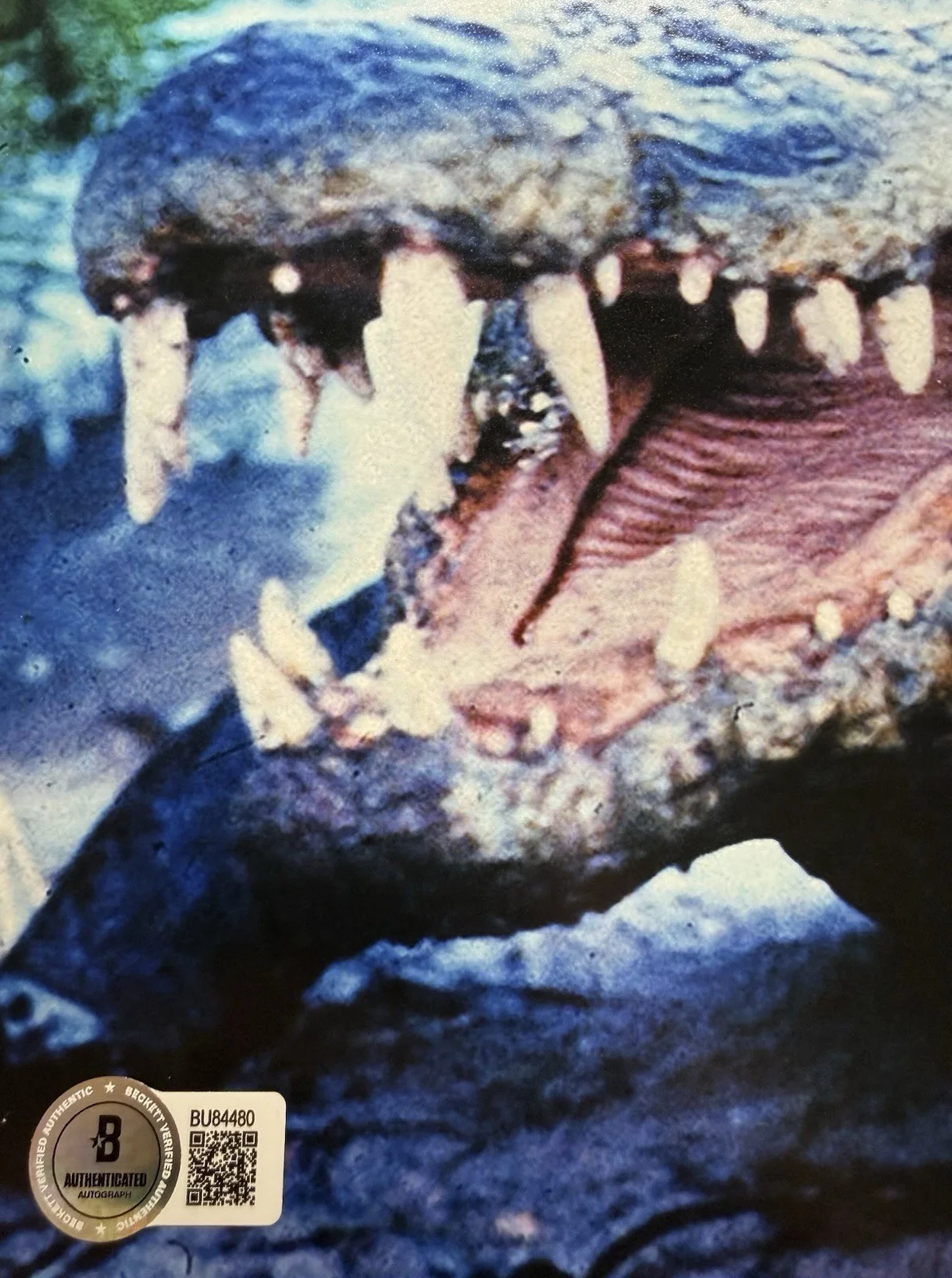 Paul Hogan — Paul Hogan Autograph Signed 11x14 Crocodile Dundee Photo with Beckett COA, image 3