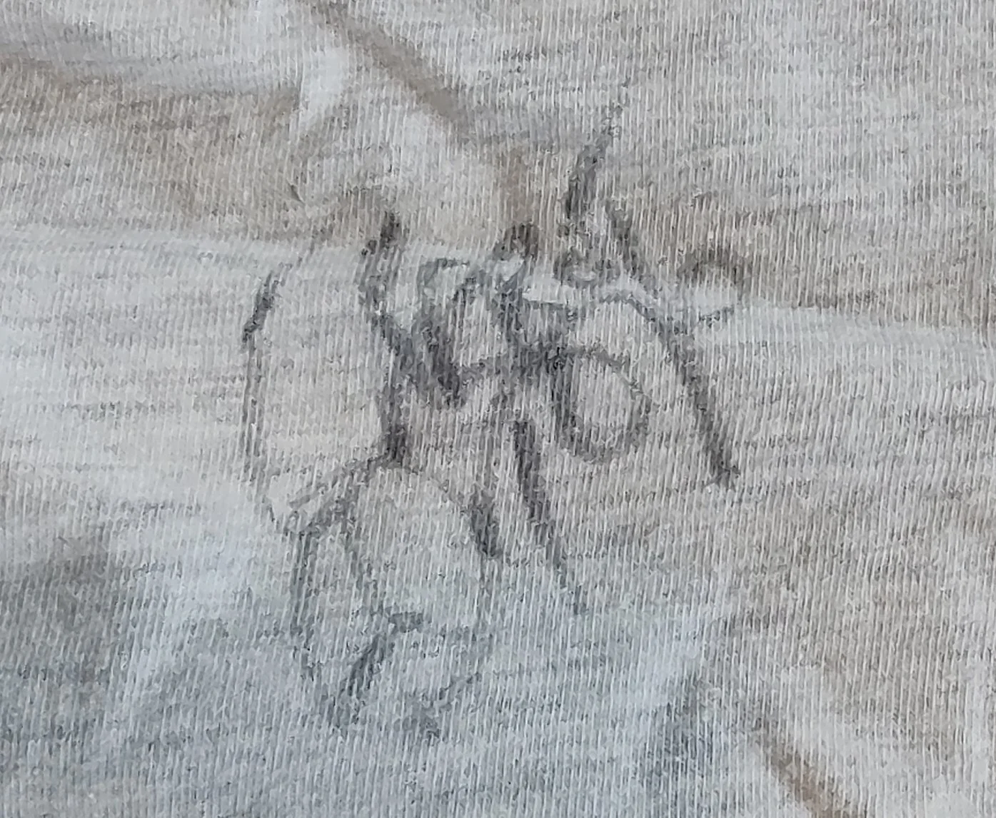 Carrot Top 1990s — 1990s CARROT TOP AUTOGRAPHED WORLD TOUR TEE SHIRT, изображение 2