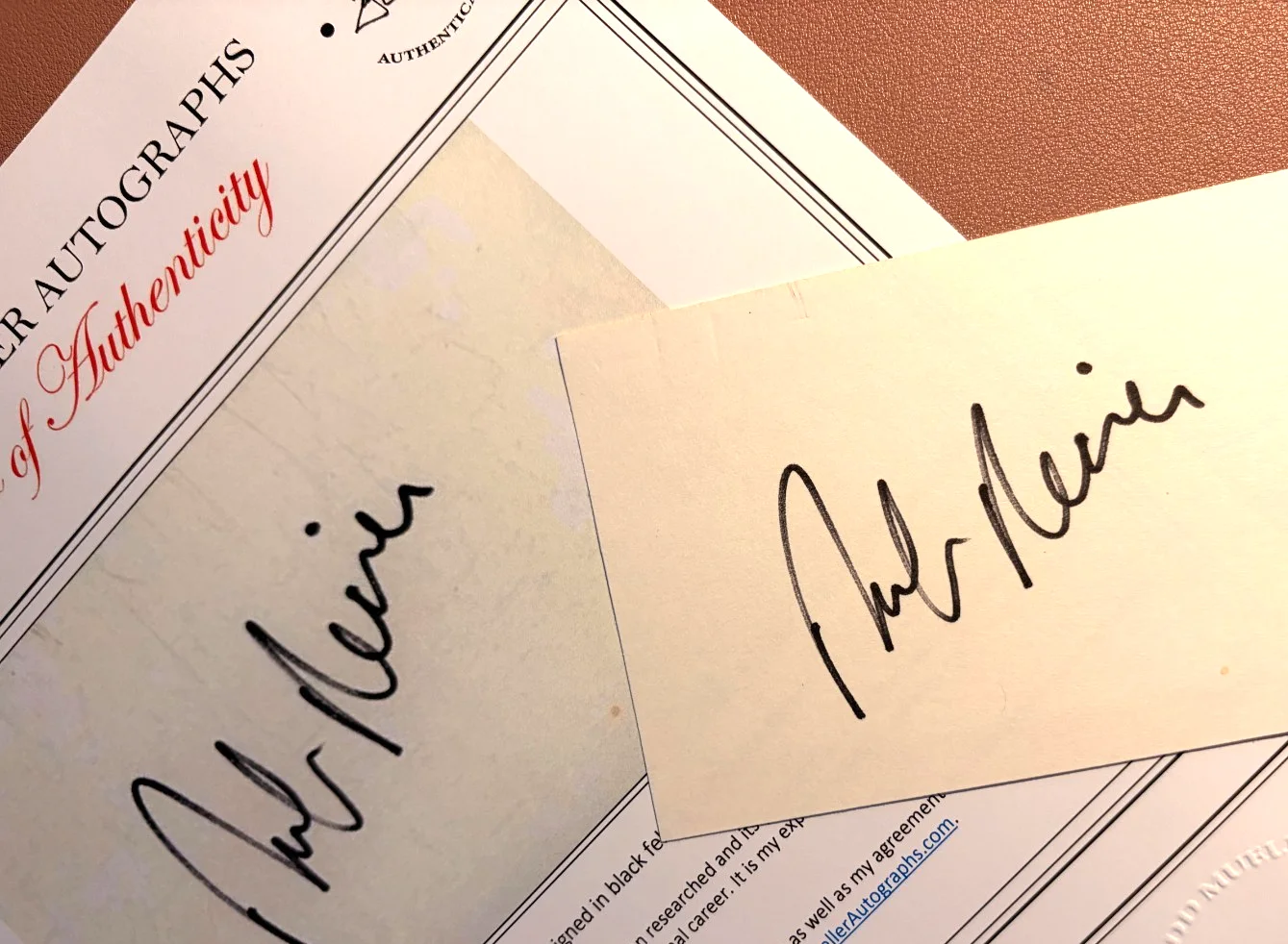 Rob Reiner — Rob Reiner Signed 3x5 Index Card•Mint• Todd Mueller Autographs COA, image 3