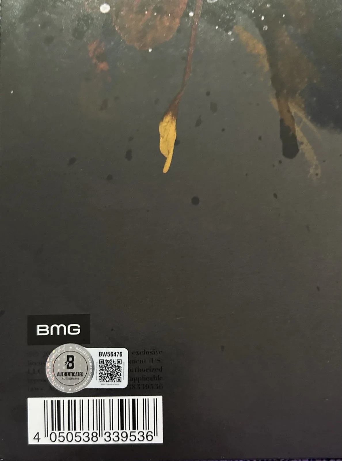 AMY LEE SIGNED EVANESCENCE SYNTHESIS VINYL LP RARE - BECKETT COA, изображение 5