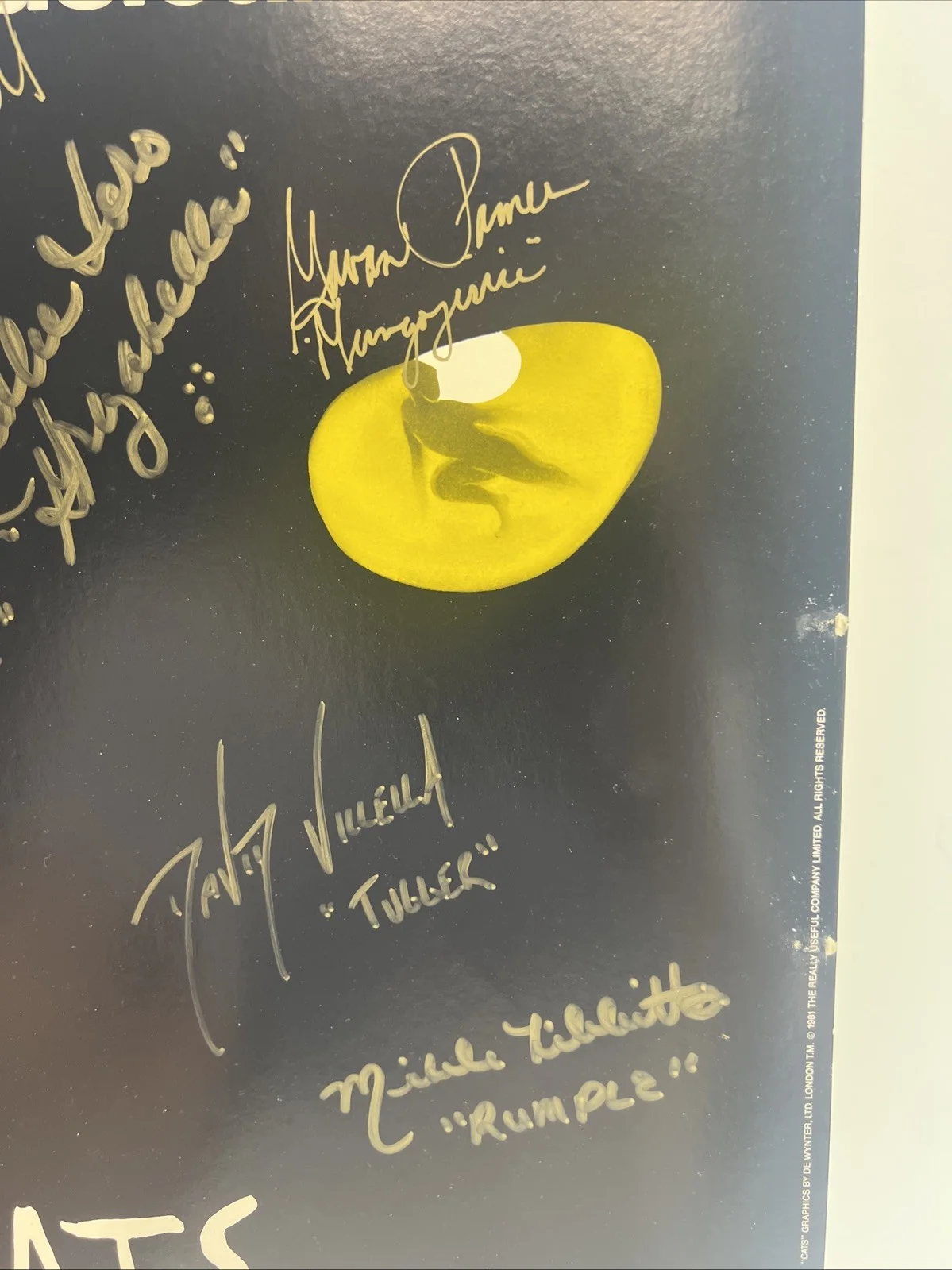CATS Broadway Musical Poster - 1990s, Autographed, Broward Center, Florida, image 3